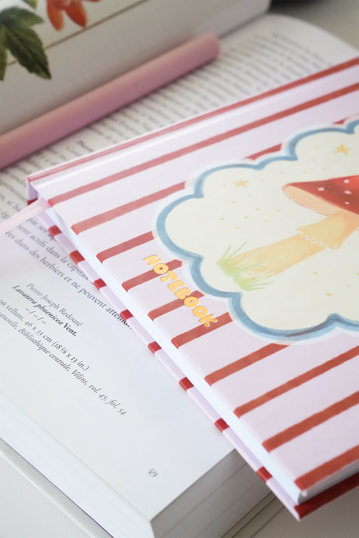Matt Notebook 15x15 cm Kare Tarihsiz Not Defteri Çizgili Mantar
