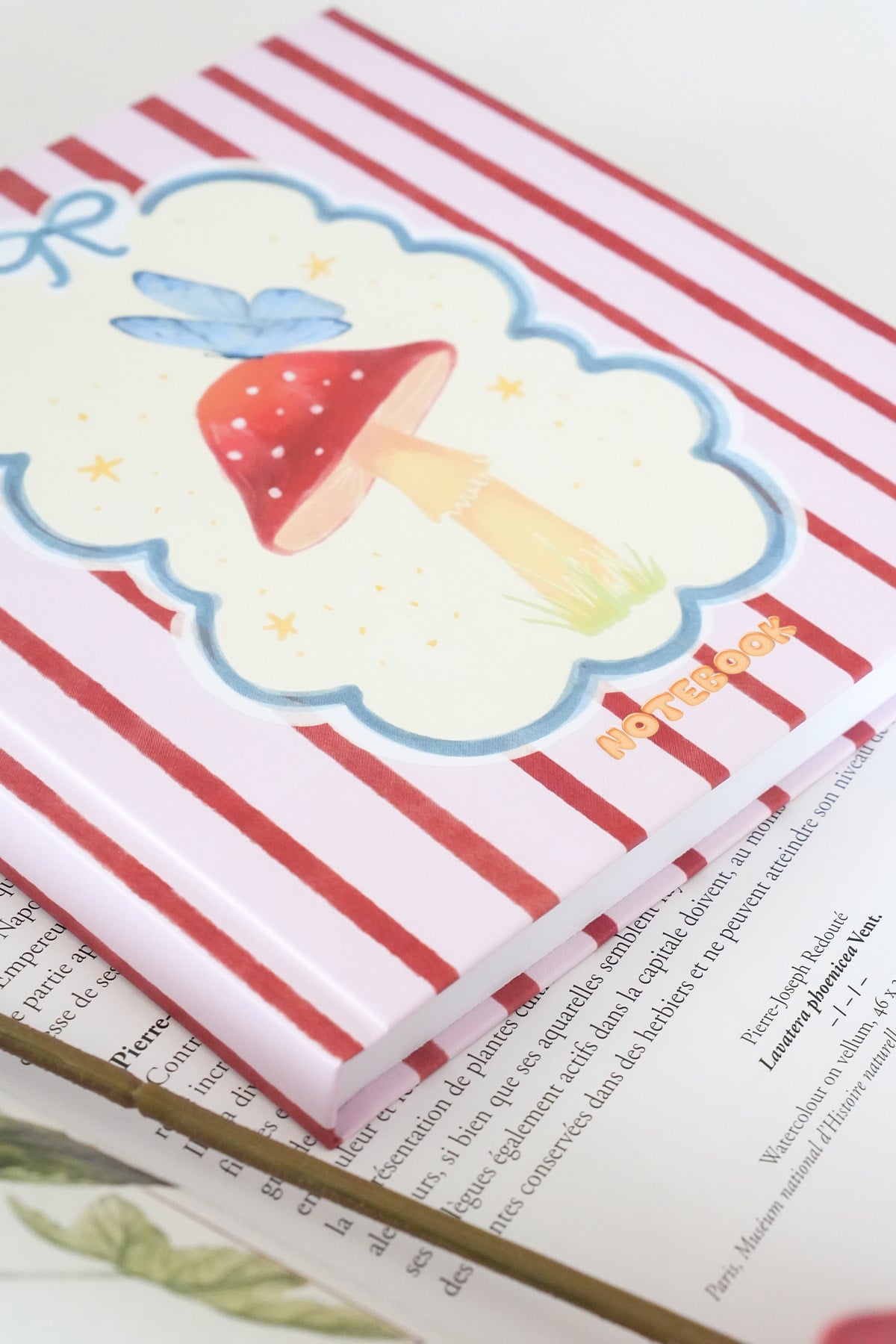 Matt Notebook 15x15 cm Kare Tarihsiz Not Defteri Çizgili Mantar