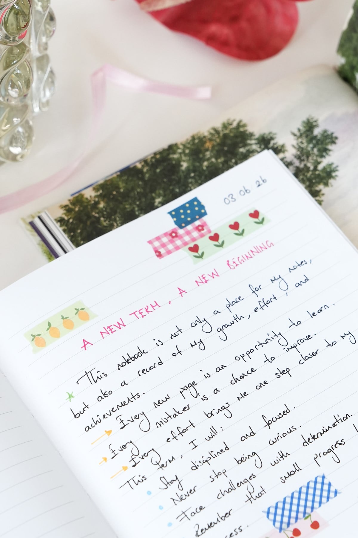 Matt Notebook 15x15 cm Kare Tarihsiz Not Defteri Çizgili Mantar