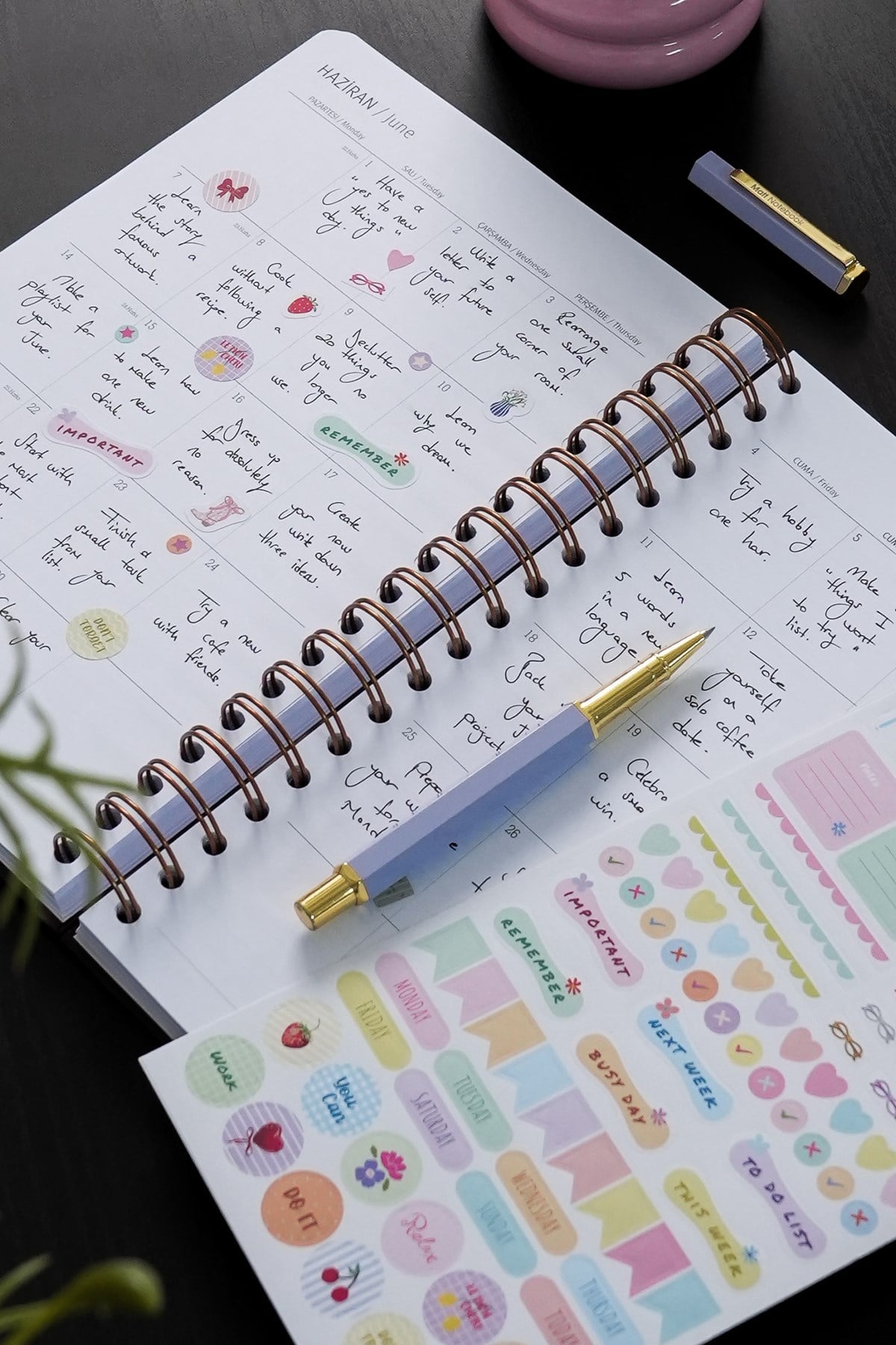 Matt Notebook 2027 Yılı Günlük Spiralli Ajanda 16x24 cm - 12 Aylık