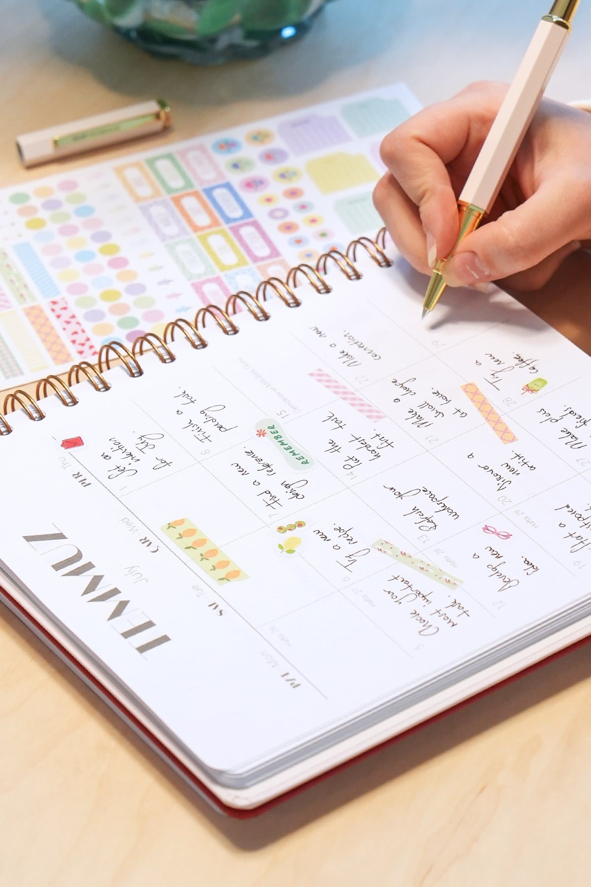 Matt Notebook 2027 Yılı Haftalık Kare Ajanda - 12 Aylık Ekose