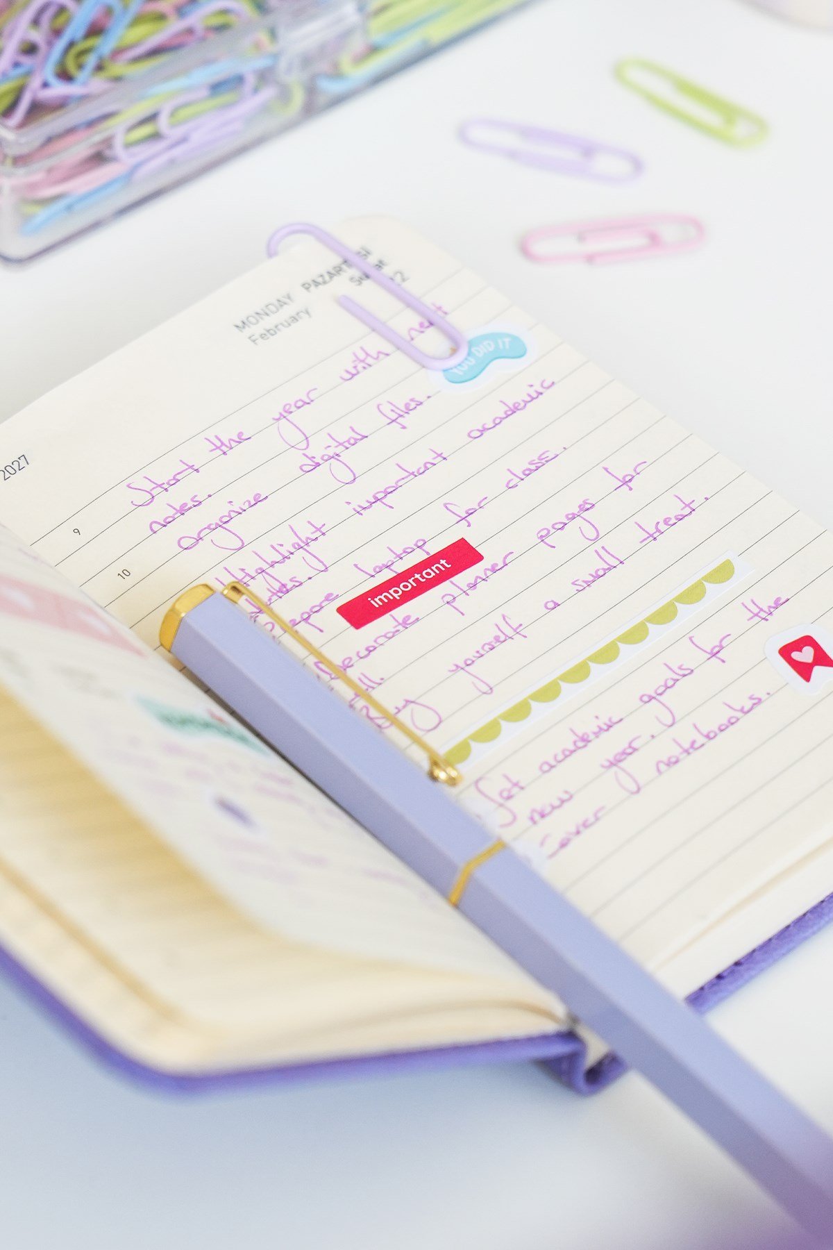 Matt Notebook 2027 Yılı Lastikli Günlük Cep Ajandası 12 Aylık Lila