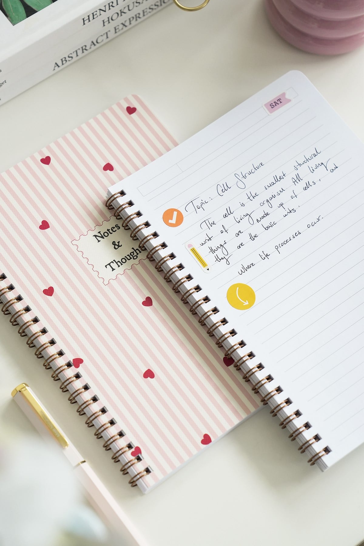 Matt Notebook A5 Spiralli Okul Defteri 80 yaprak 2'li Set – Çizgili & Kareli