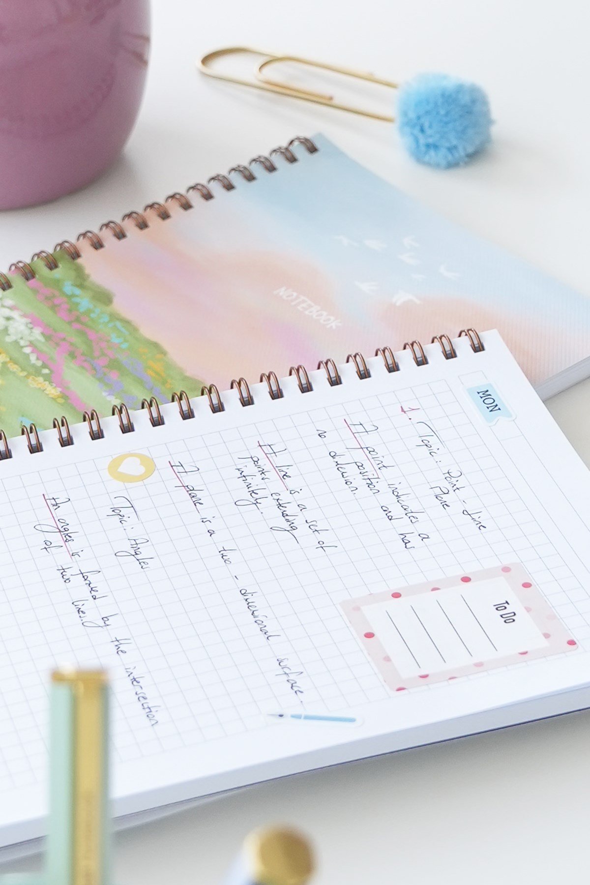 Matt Notebook A5 Spiralli Okul Defteri 80 yaprak 2'li Set – Çizgili & Kareli