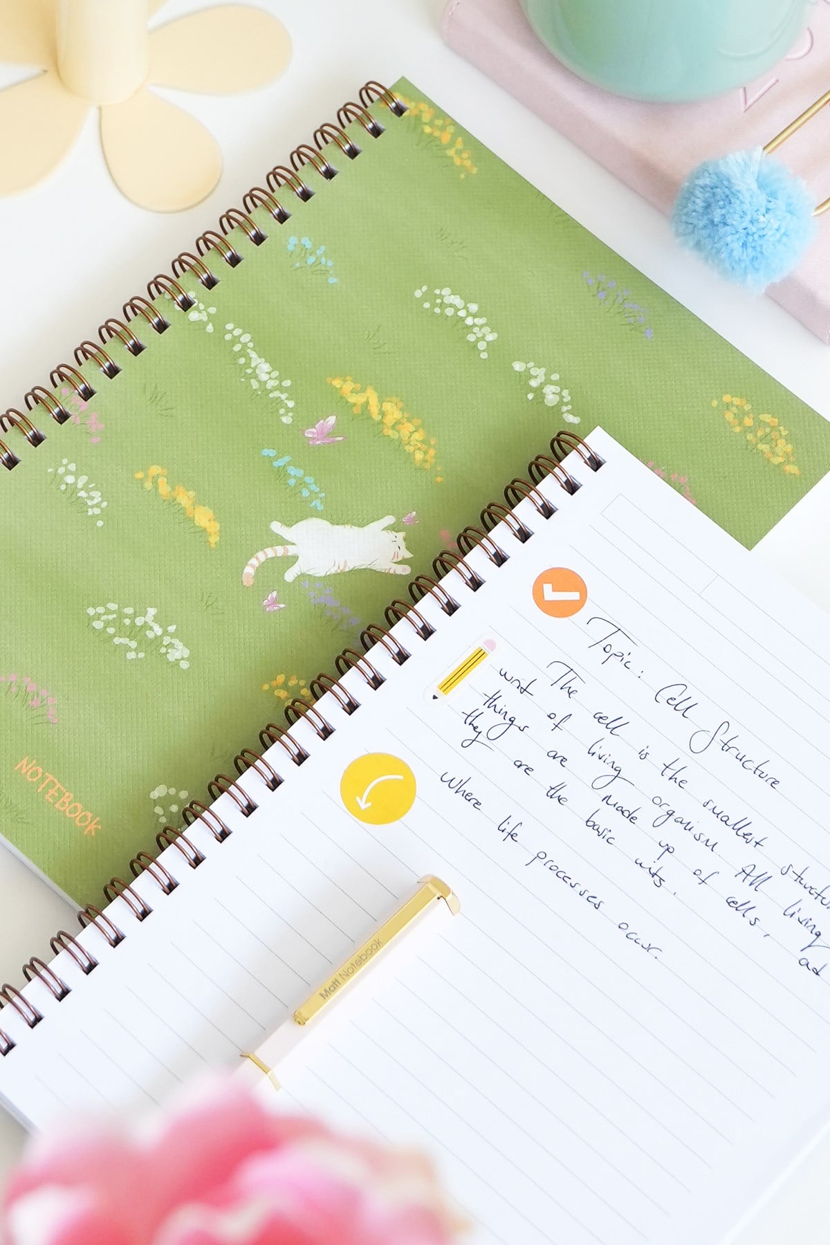 Matt Notebook A5 Spiralli Okul Defteri 80 yaprak 2'li Set – Çizgili & Kareli