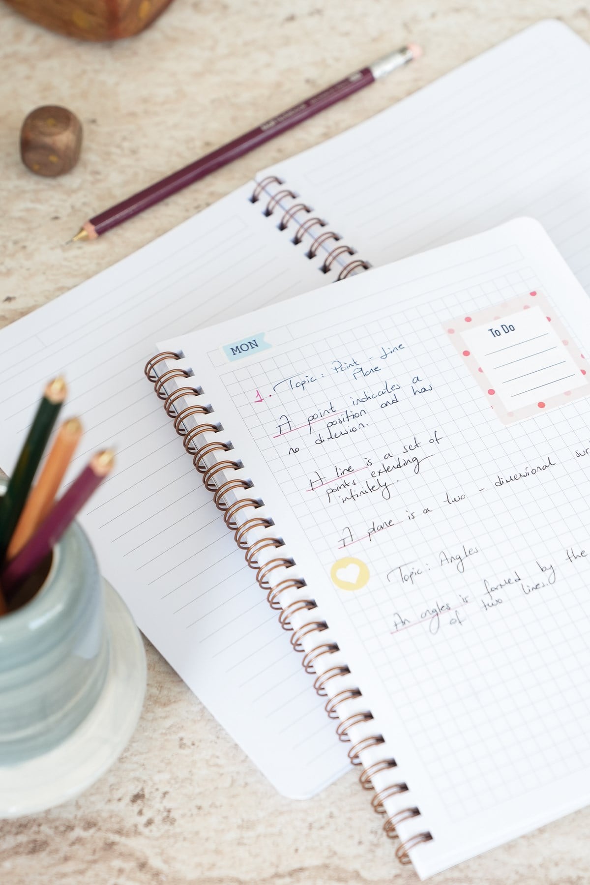 Matt Notebook A5 Spiralli Okul Defteri 80 yaprak 2'li Set – Çizgili & Kareli