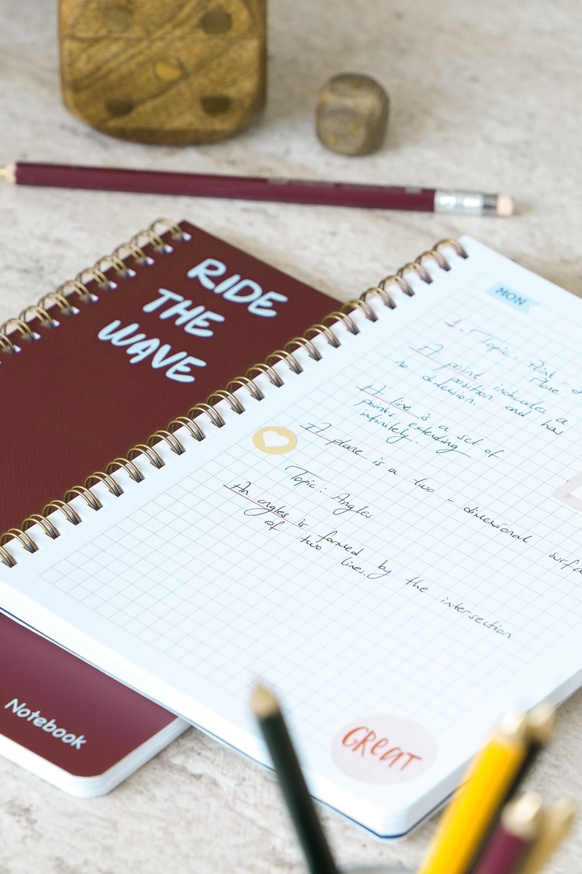 Matt Notebook A5 Spiralli Okul Defteri 80 yaprak 2'li Set – Çizgili & Kareli