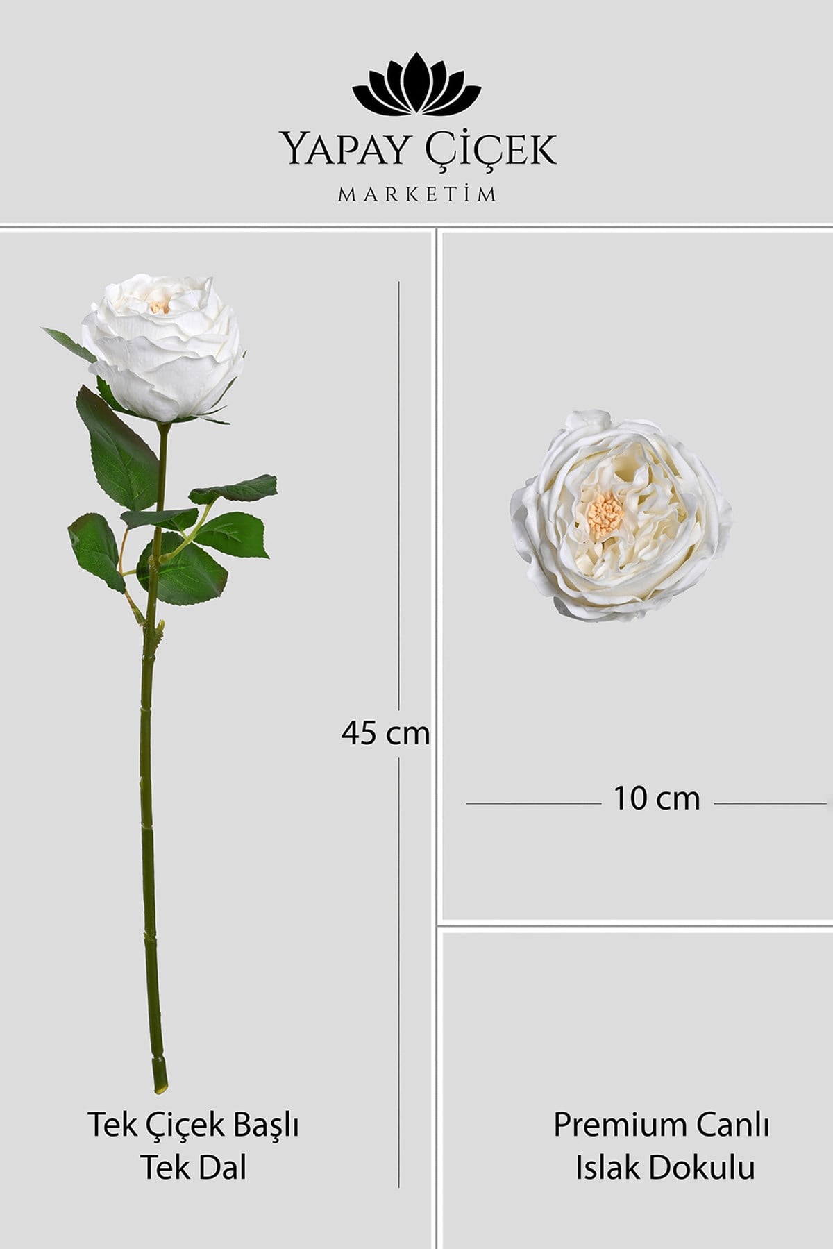 Beyaz Yapay Lüx Şakayık Tek Dal Premium Canlı  Islak Gerçek Dokulu 45 cm
