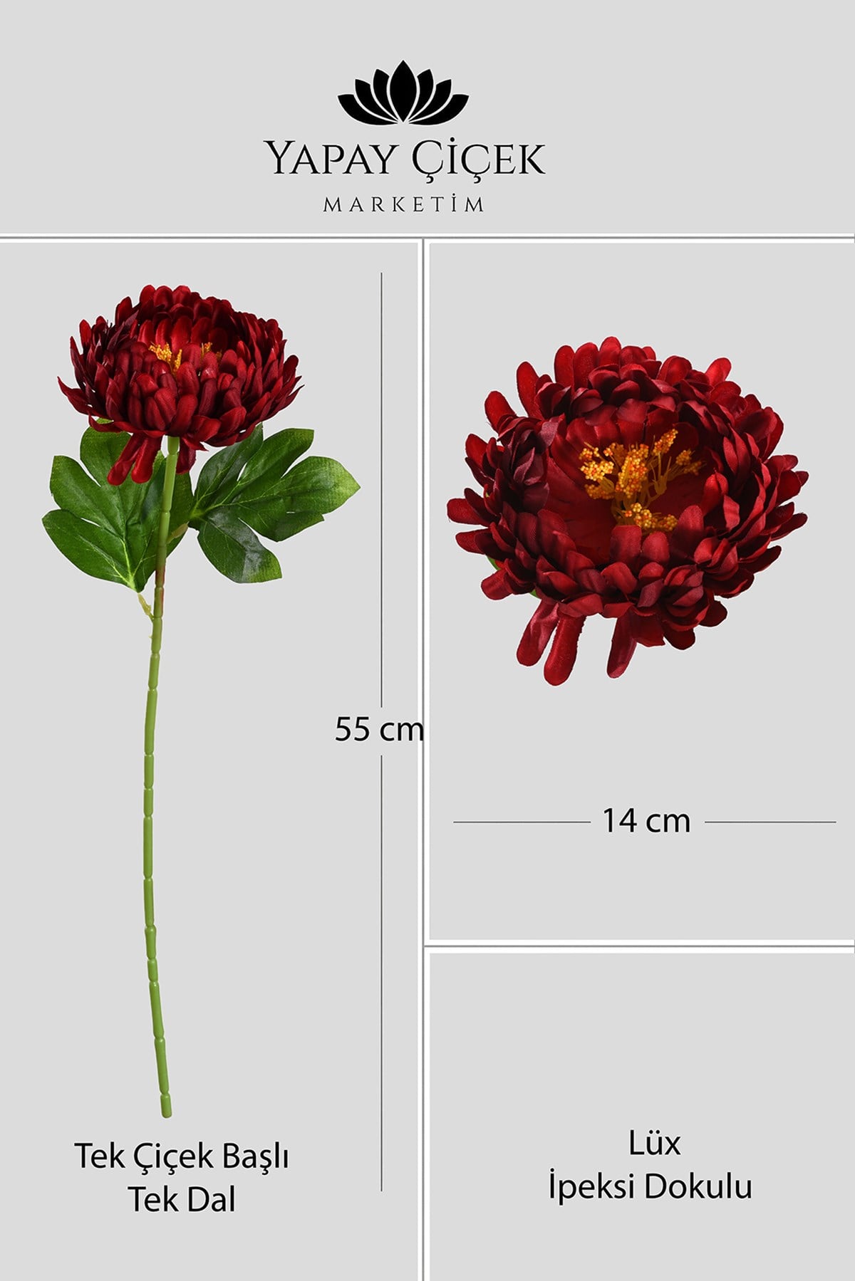 Kırmızı Yapay Kasımpatı Çiçeği Tek Dal Lüx İpeksi Dokulu 55 cm