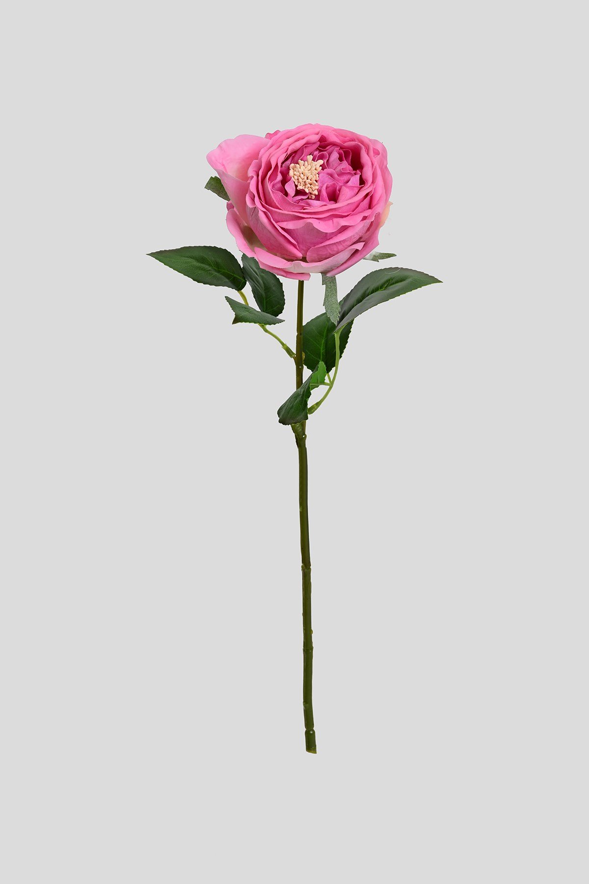 Yapay Açık Pembe Tek Dal Islak Şakayık