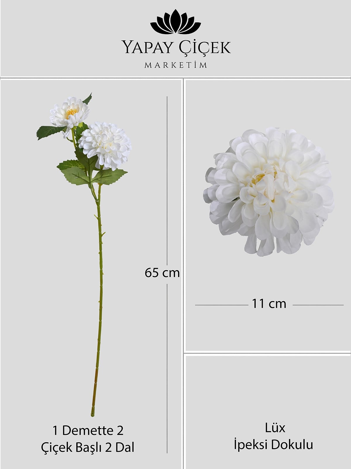 Yapay Beyaz İkili Dahlia (yıldız Çiçeği)