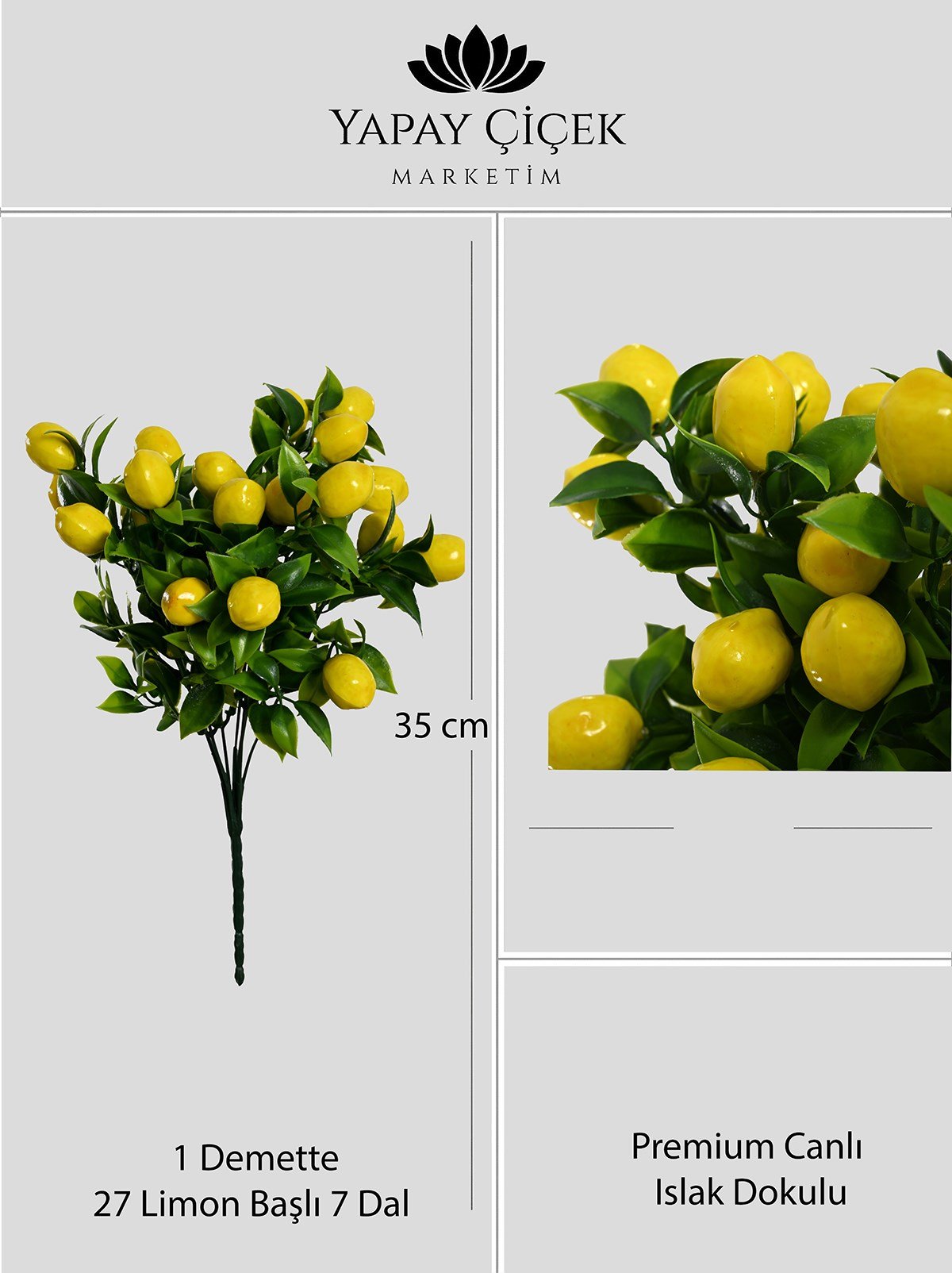 Yapay Limon