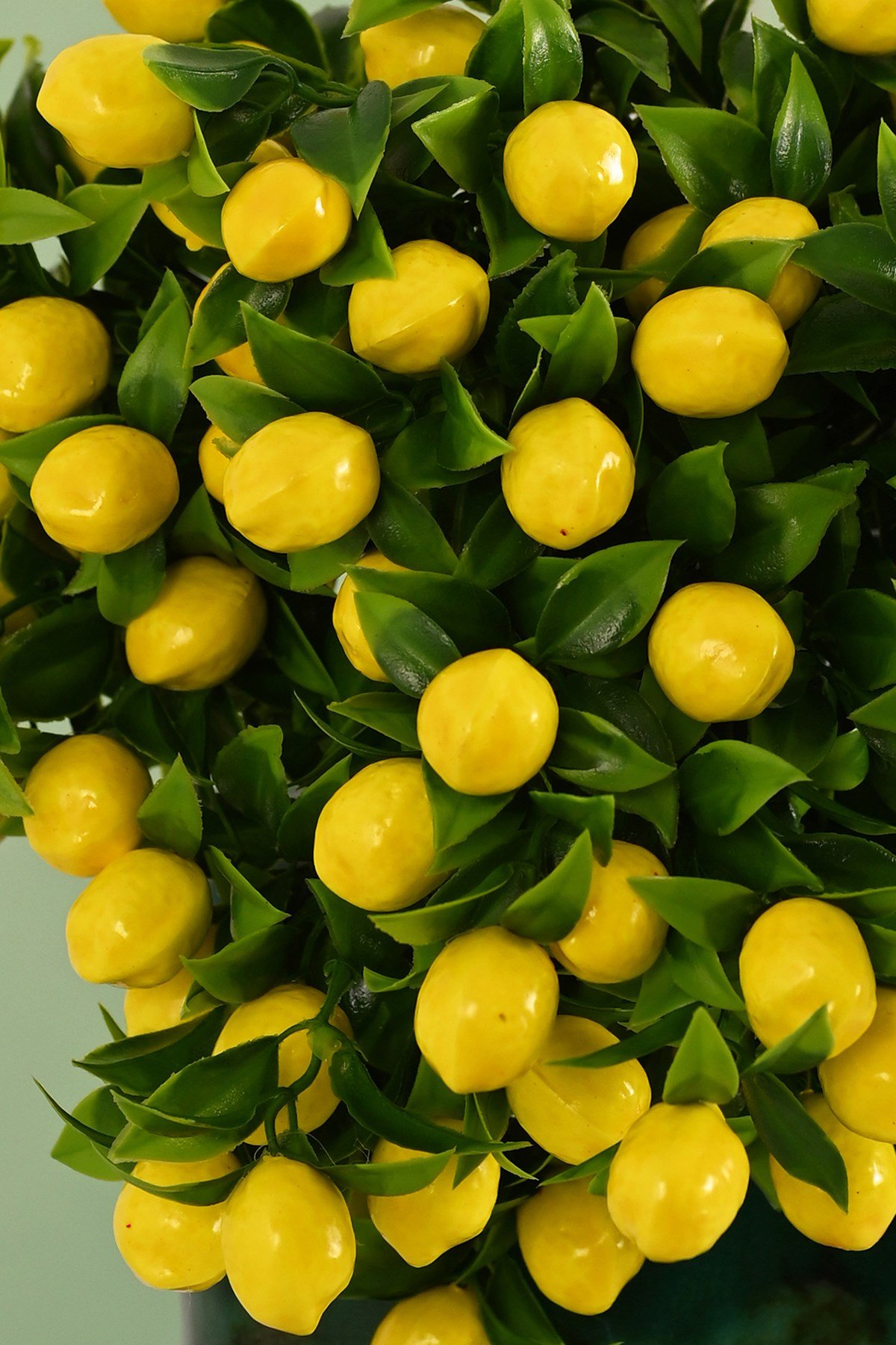 Yapay Limon