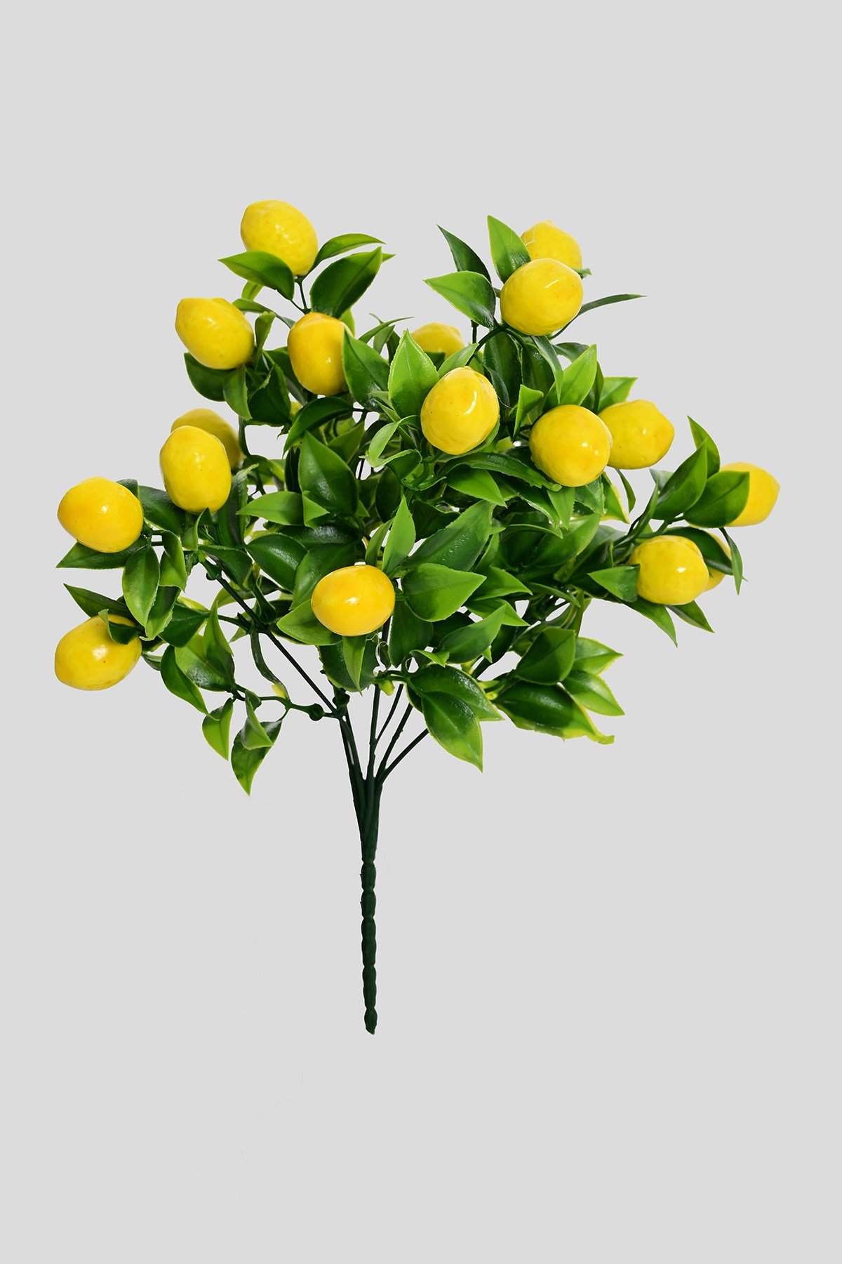 Yapay Limon