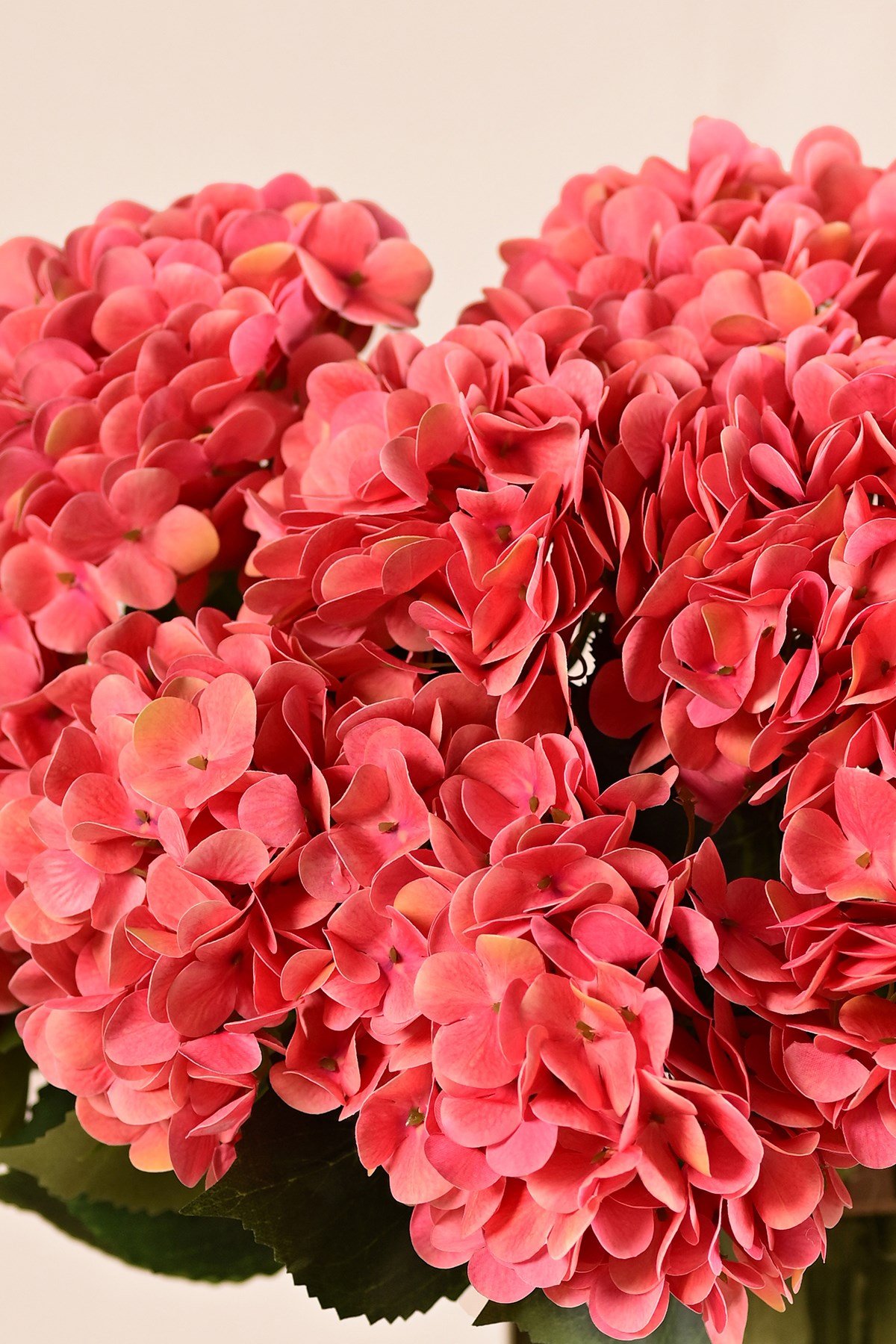 Yapay Mercan Pembe Tek Dal Ortanca