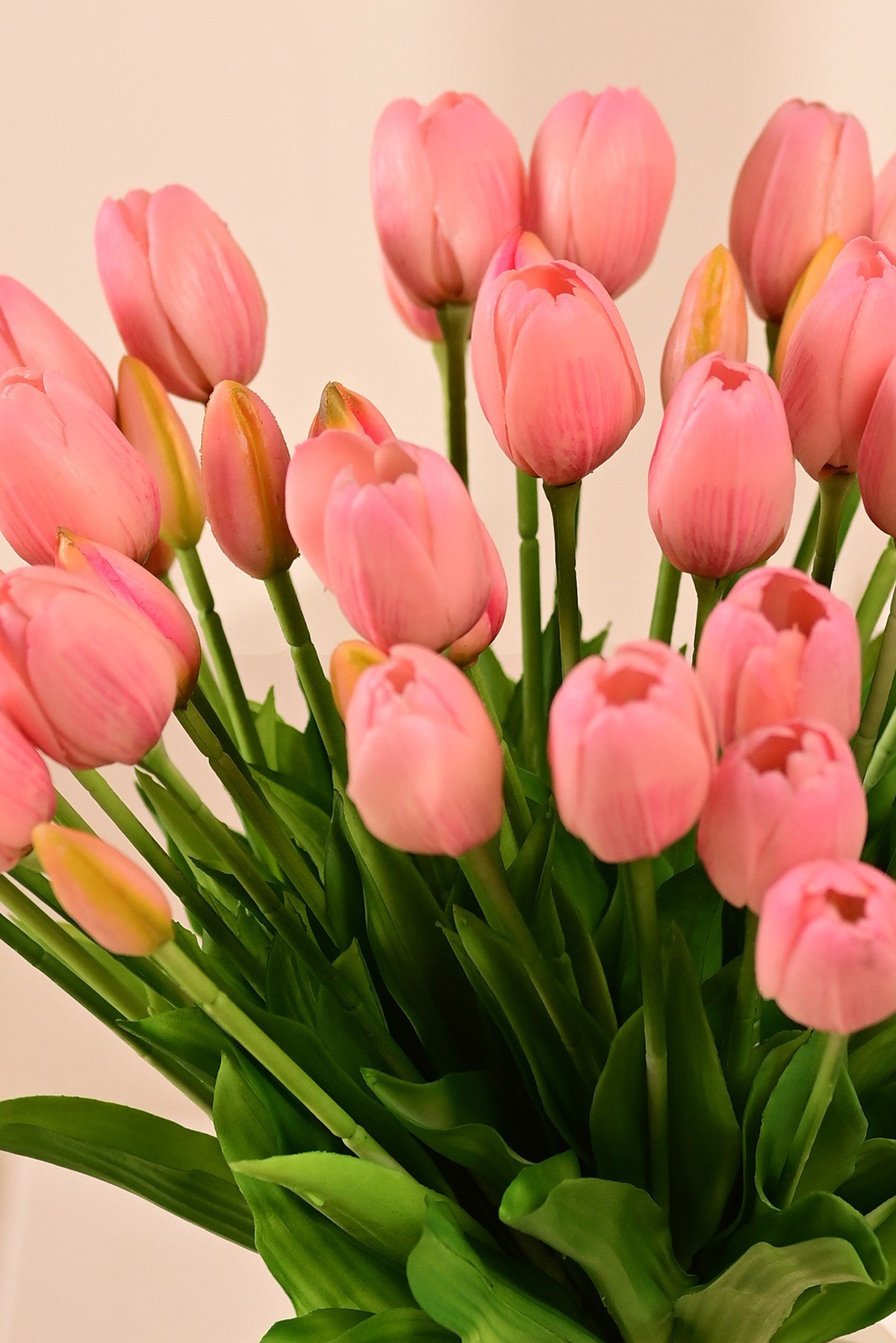 Yapay Pembe Beşli Lale