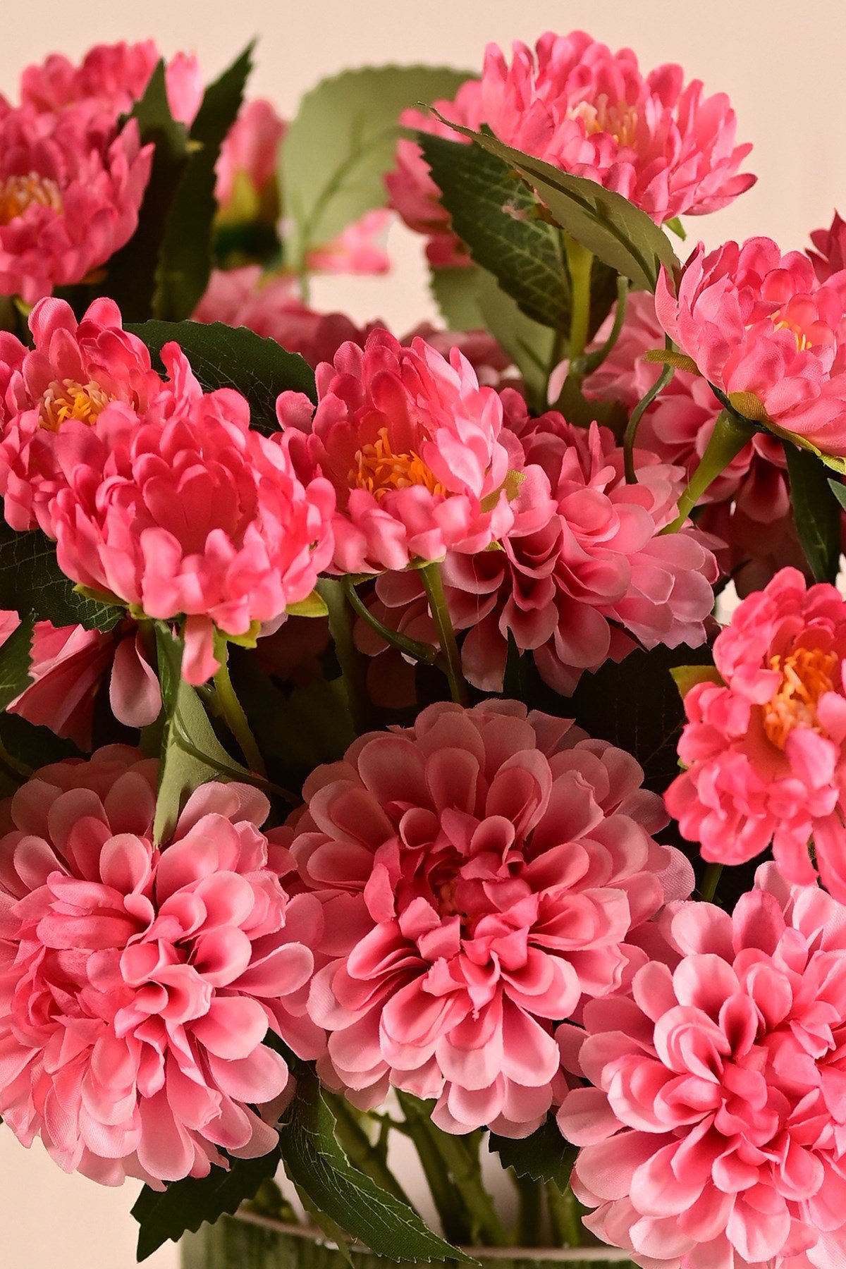 Yapay Pembe İkili Dahlia (yıldız Çiçeği)