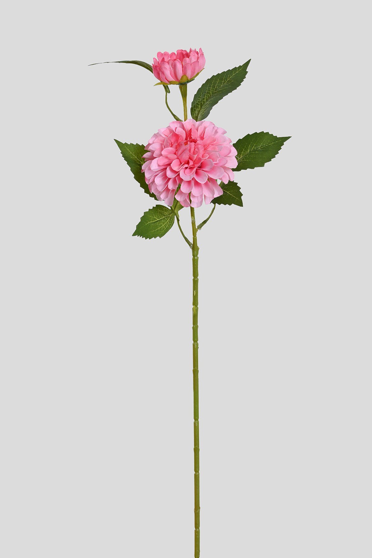 Yapay Pembe İkili Dahlia (yıldız Çiçeği)