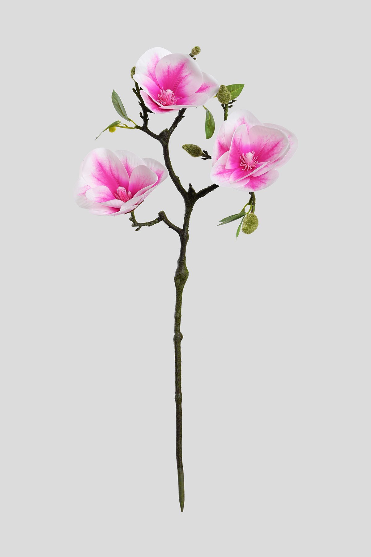 Yapay Pembe Manolya