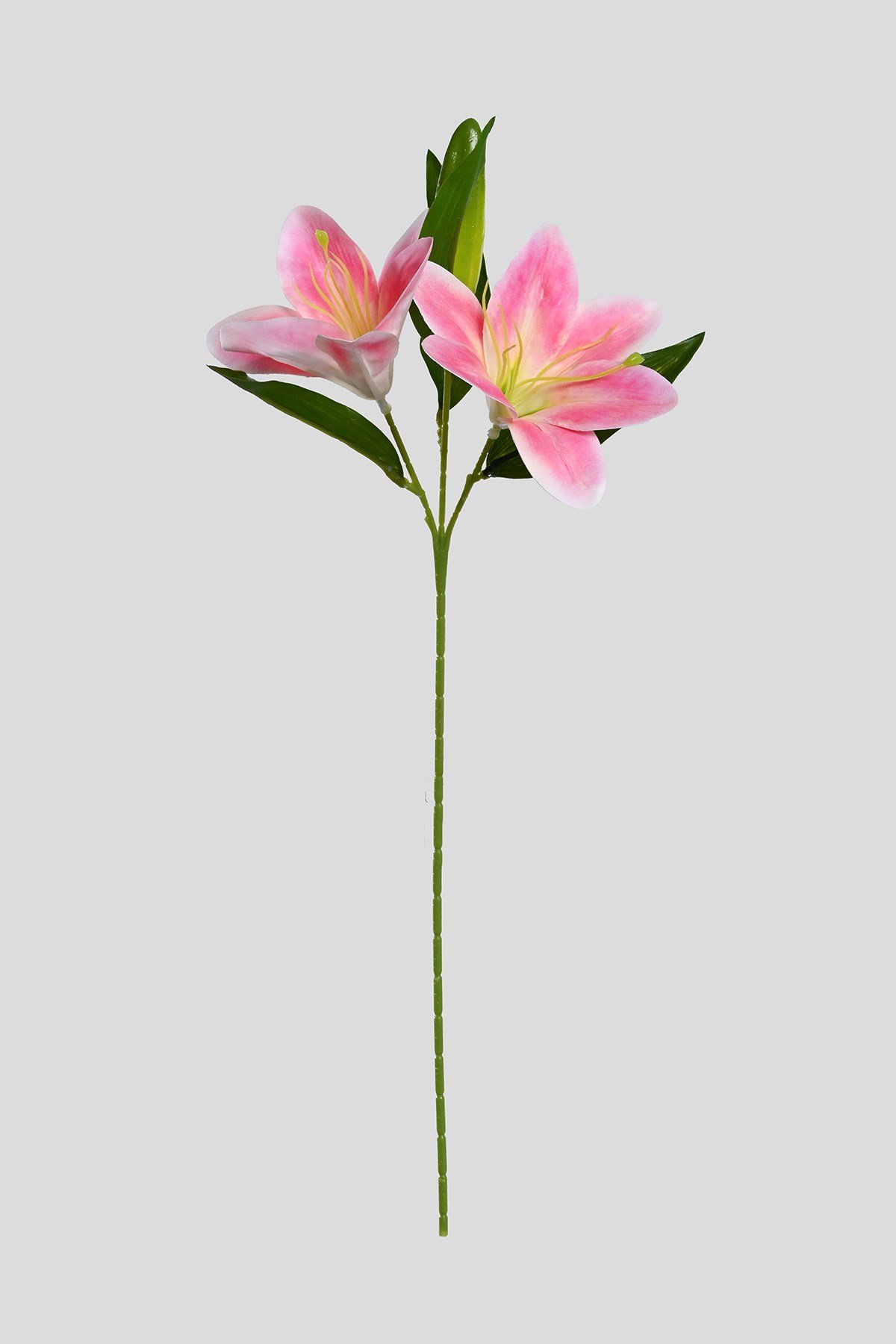 Yapay Pembe Zambak