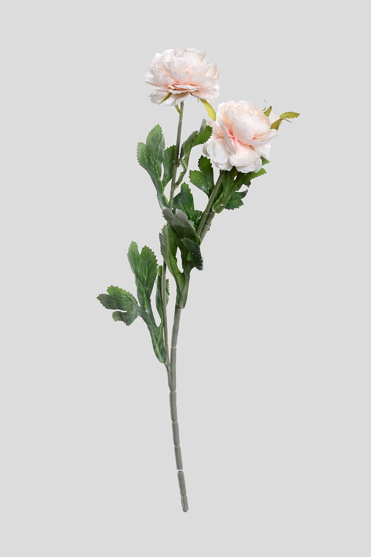 Yapay Somon Peony Şakayık