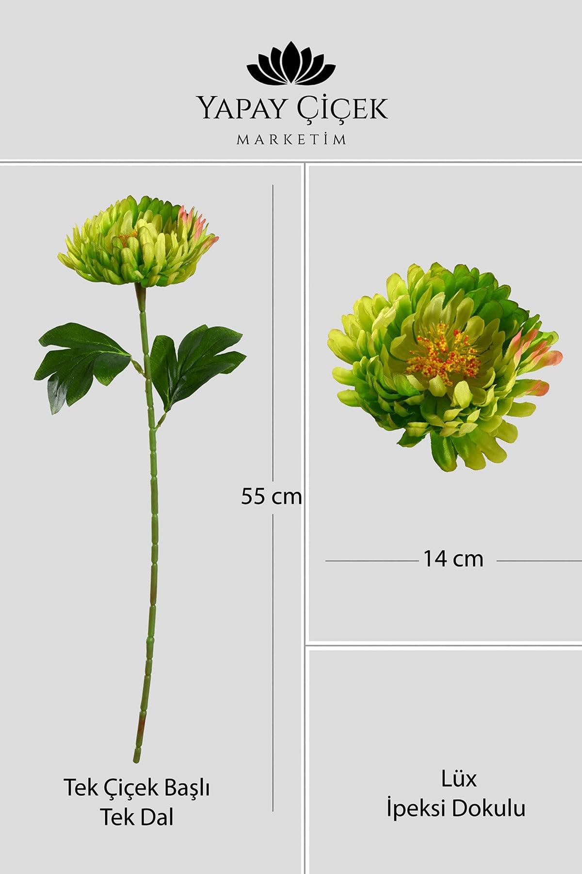 Yeşil Yapay Kasımpatı Çiçeği Tek Dal Lüx İpeksi Dokulu  55 cm