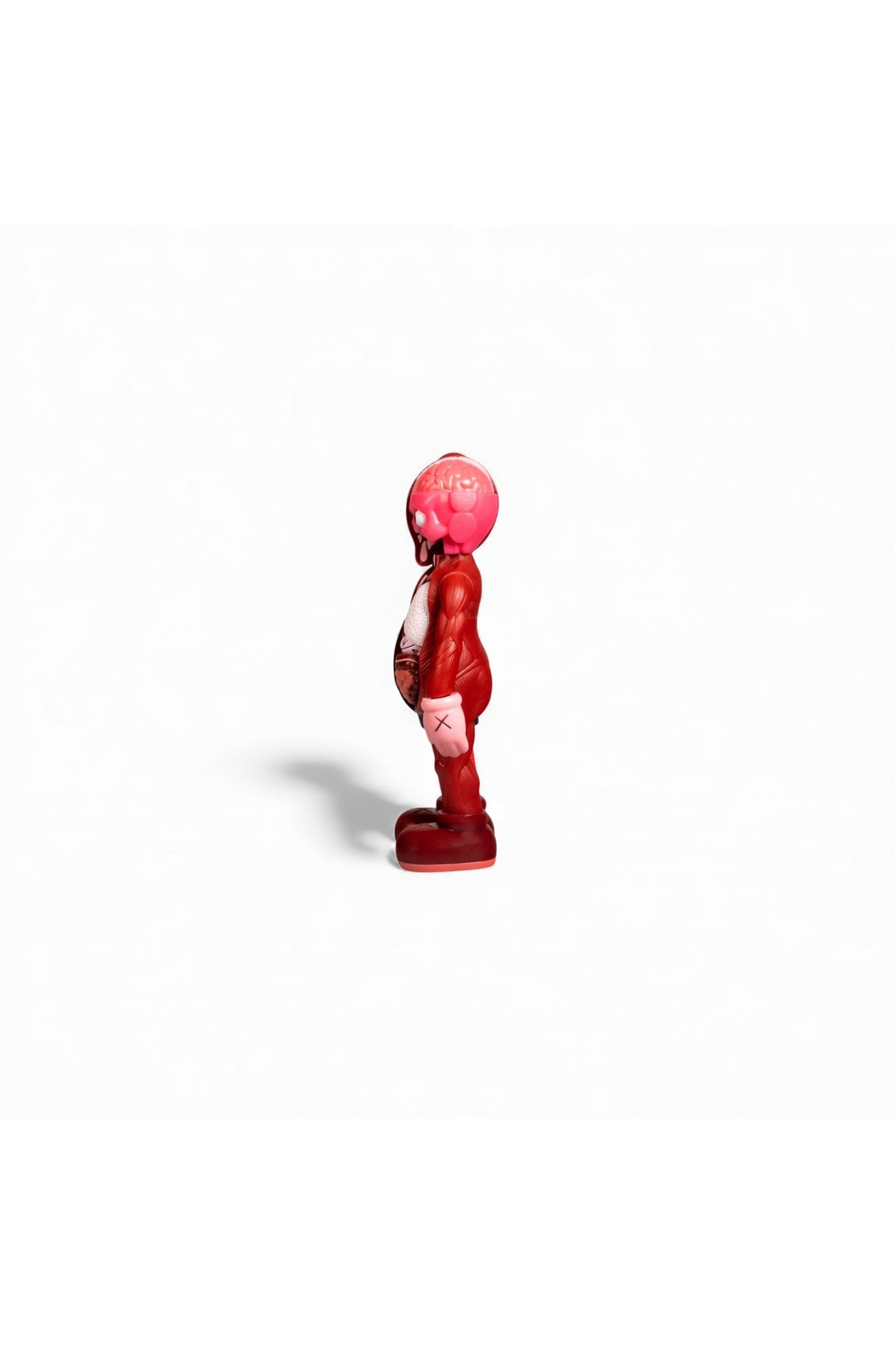 Red Kaws With Organs