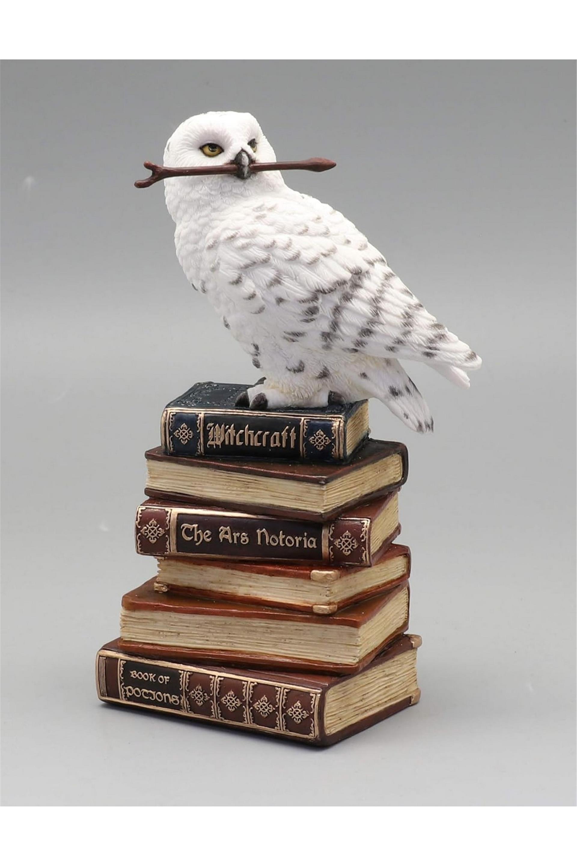 WISE HARRY POTTER BAYKUŞ