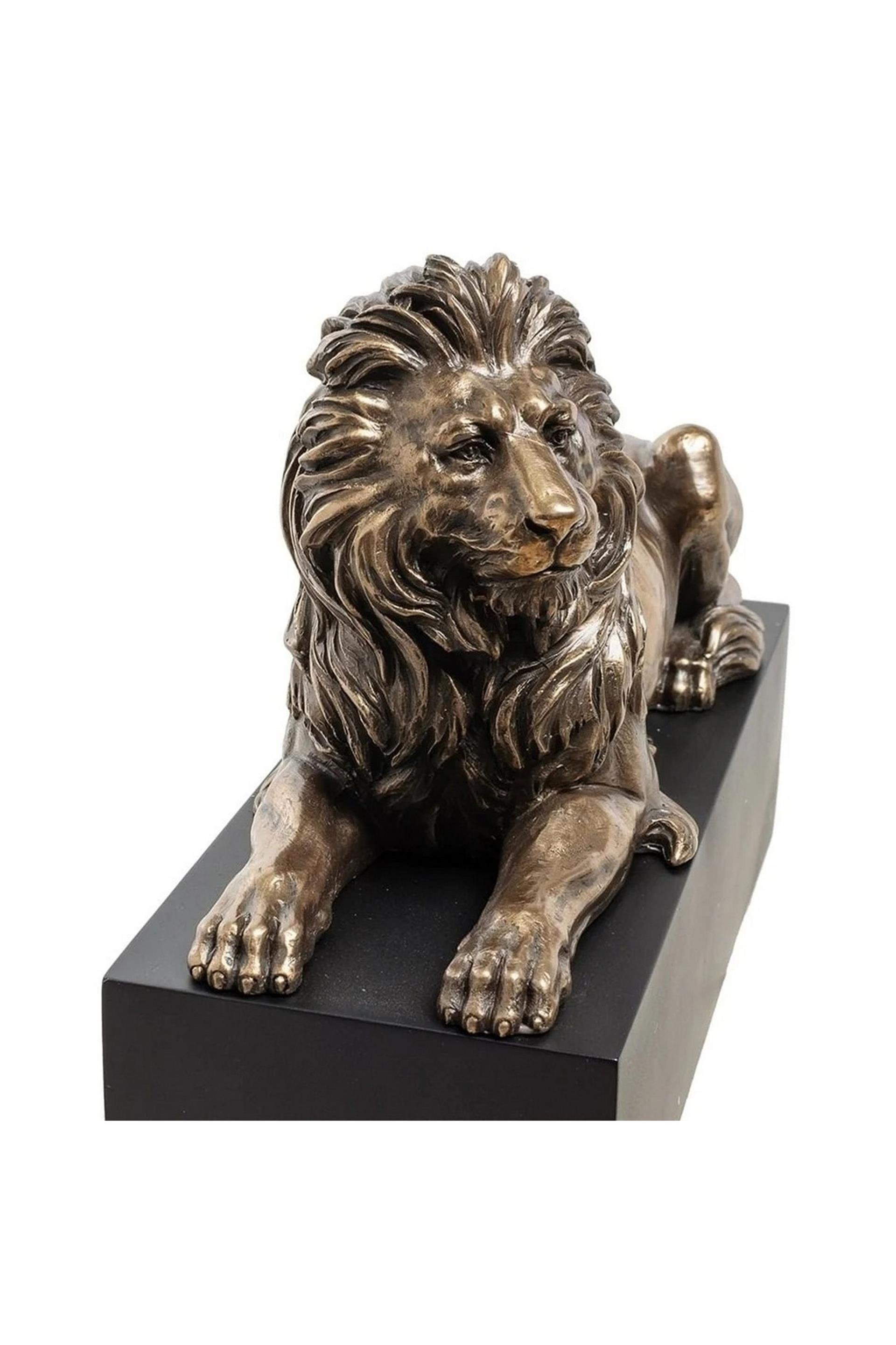 WISE KAİDE ÜZERİNDE UZANAN ASLAN