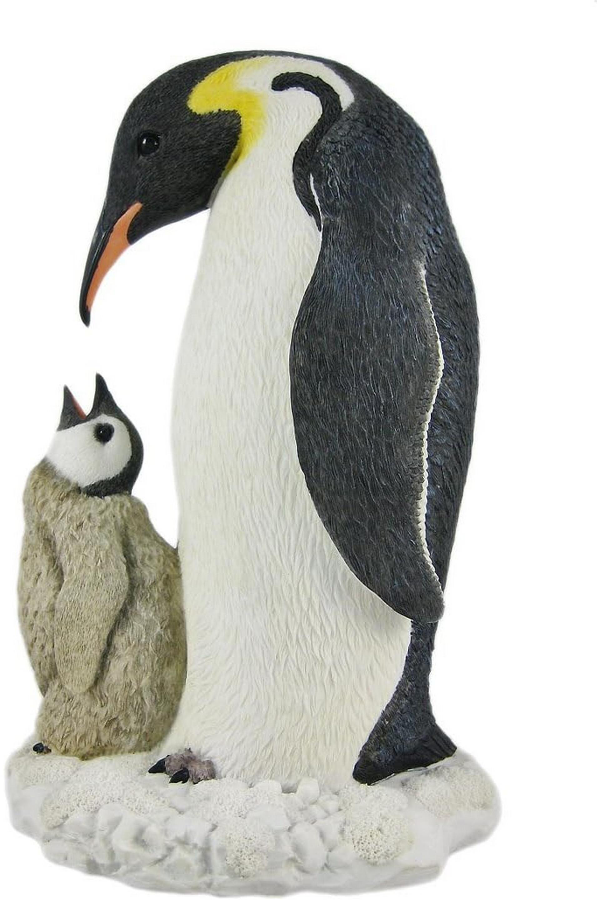 WISE KRAL PENGUEN