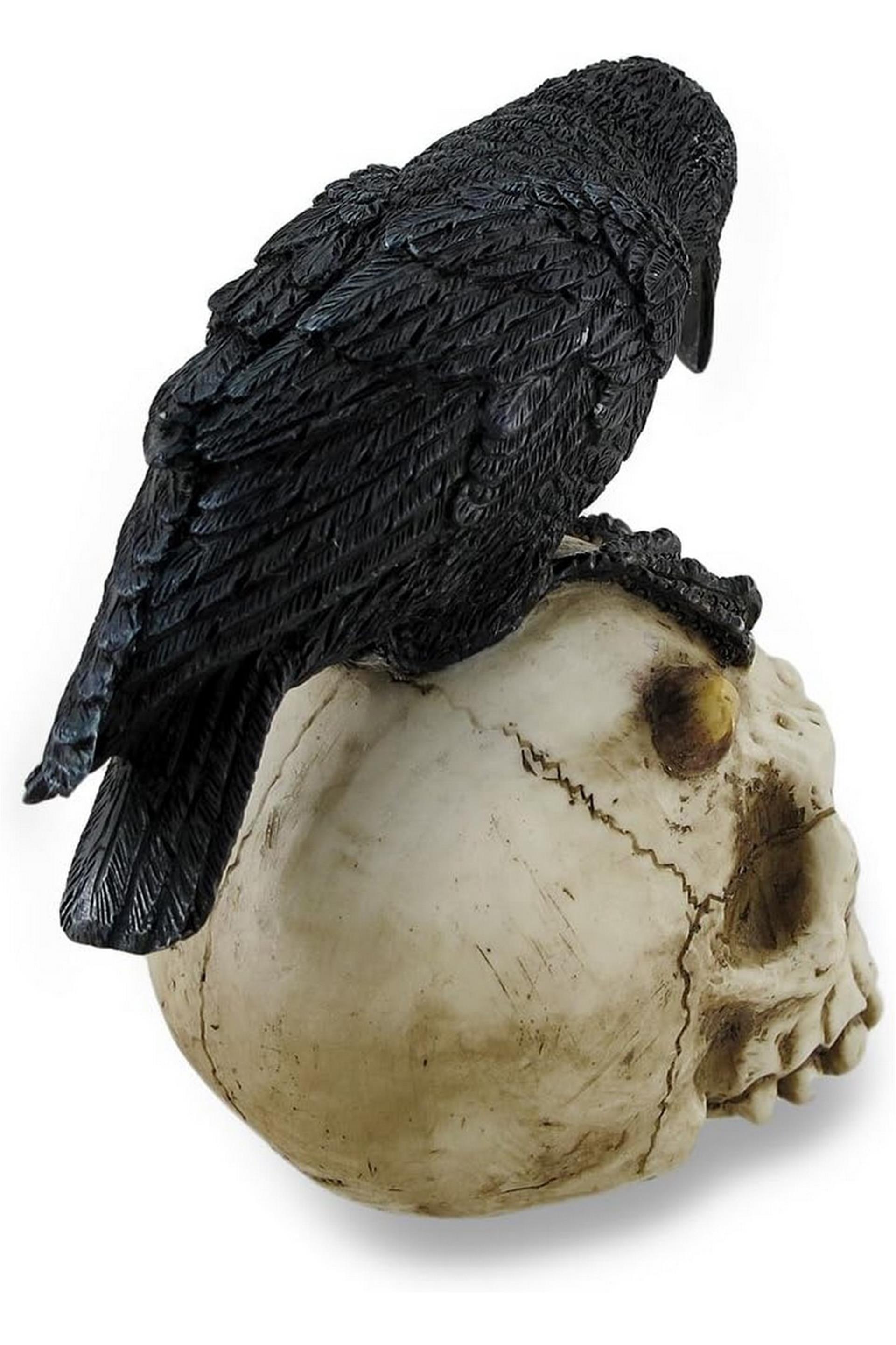 WISE KURUKAFA VE KARGA