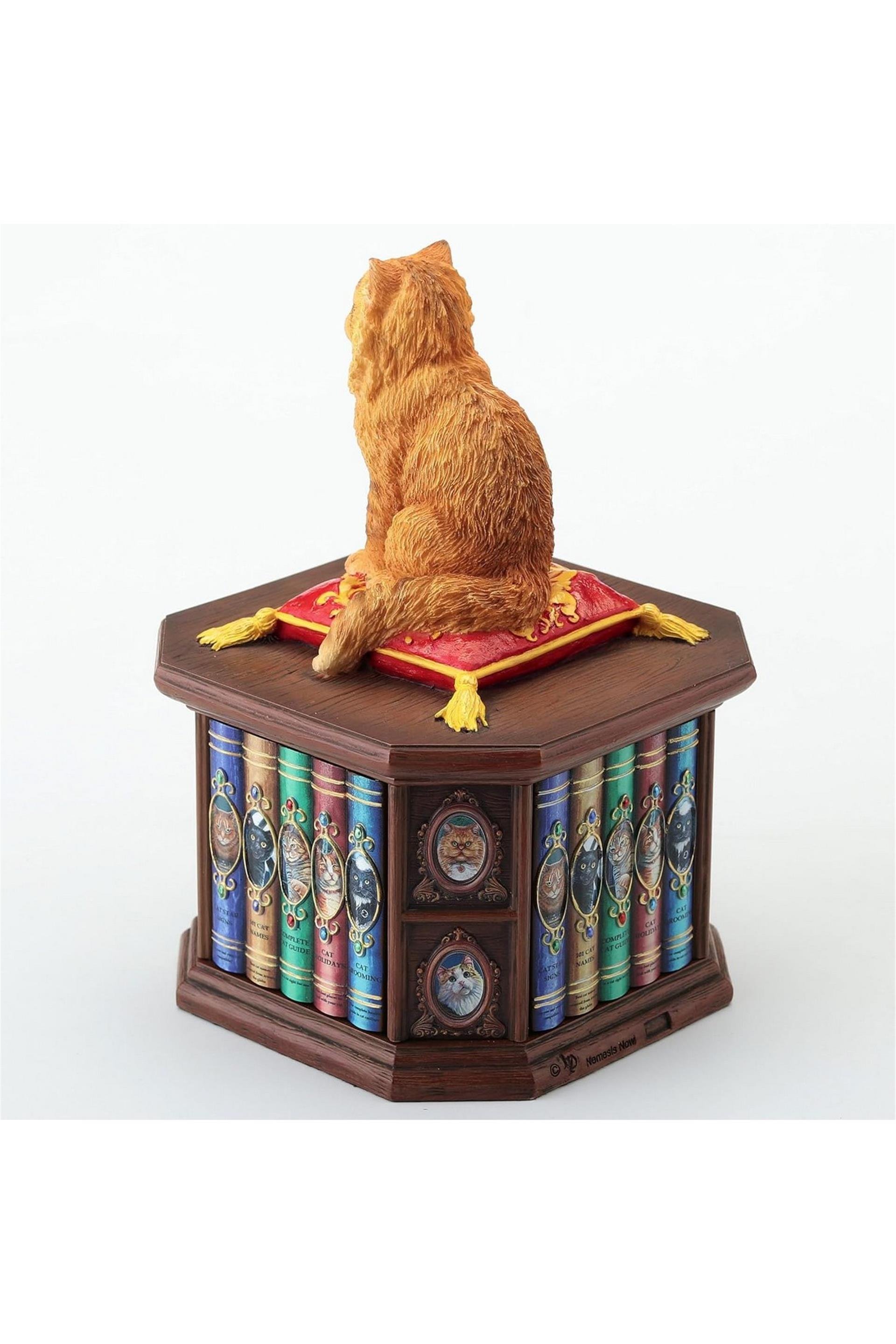 WISE KÜTÜPHANECİ KEDİ