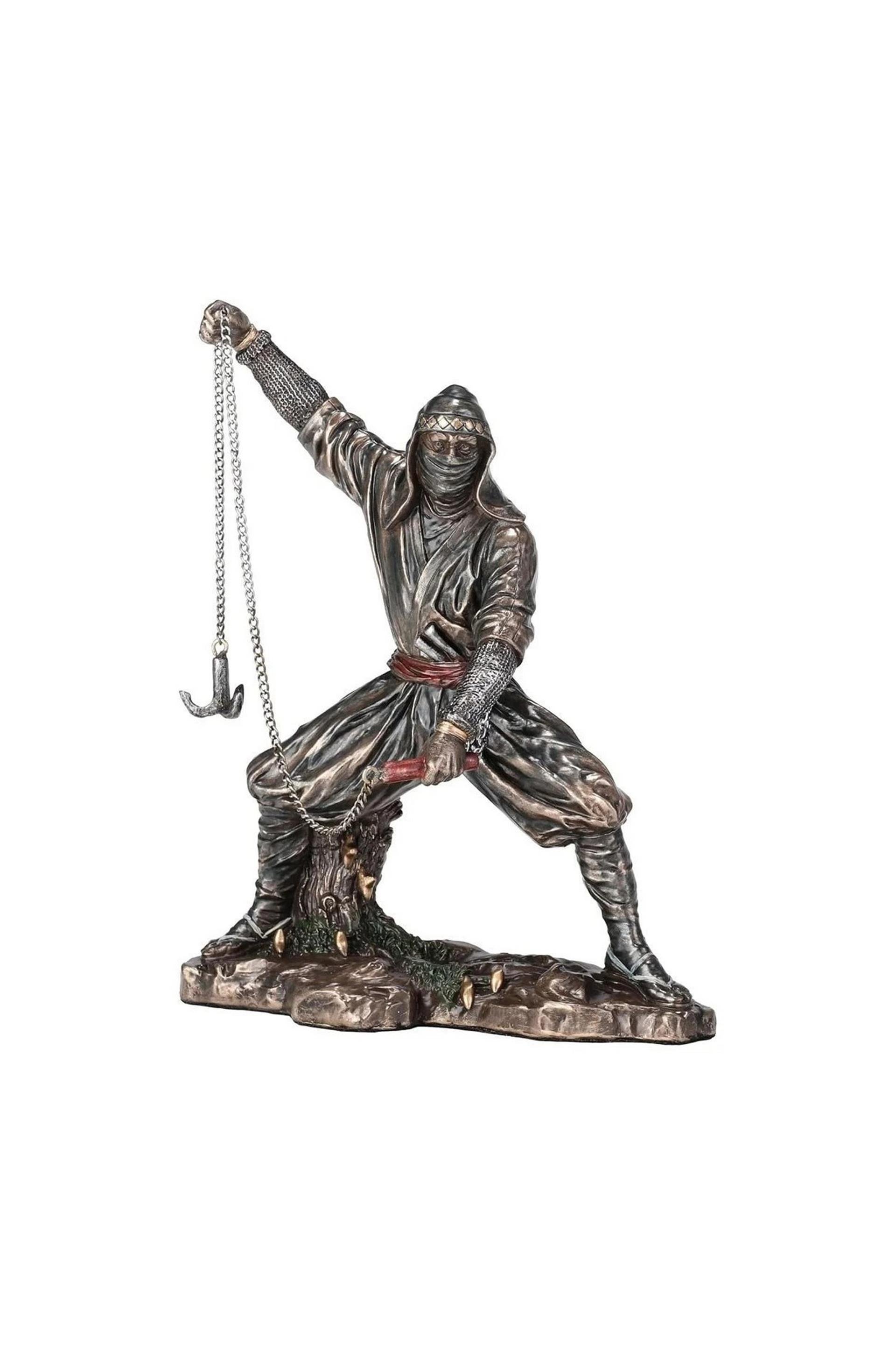 WISE NINJA