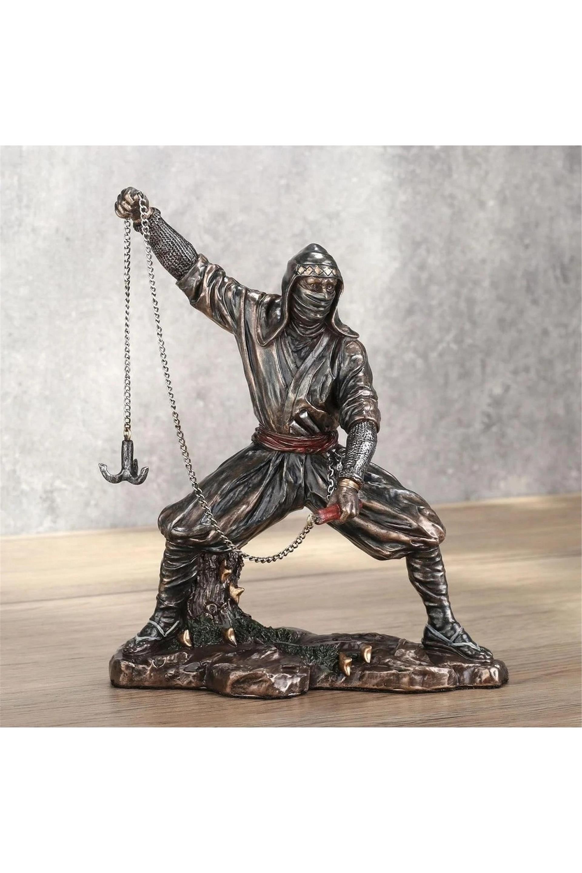 WISE NINJA