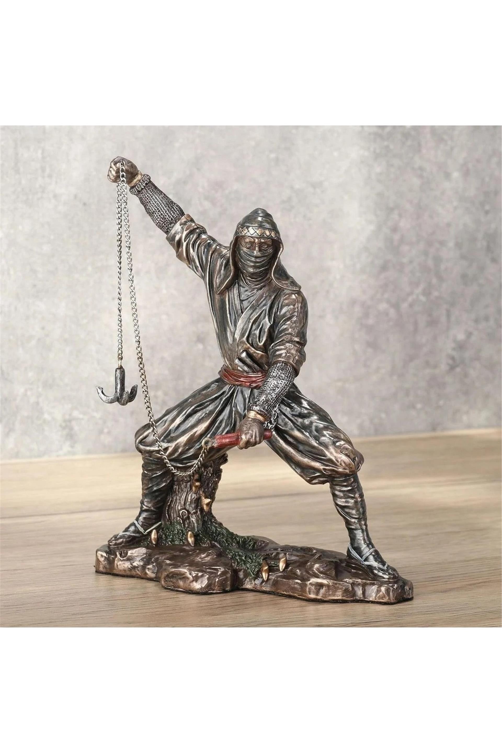 WISE NINJA