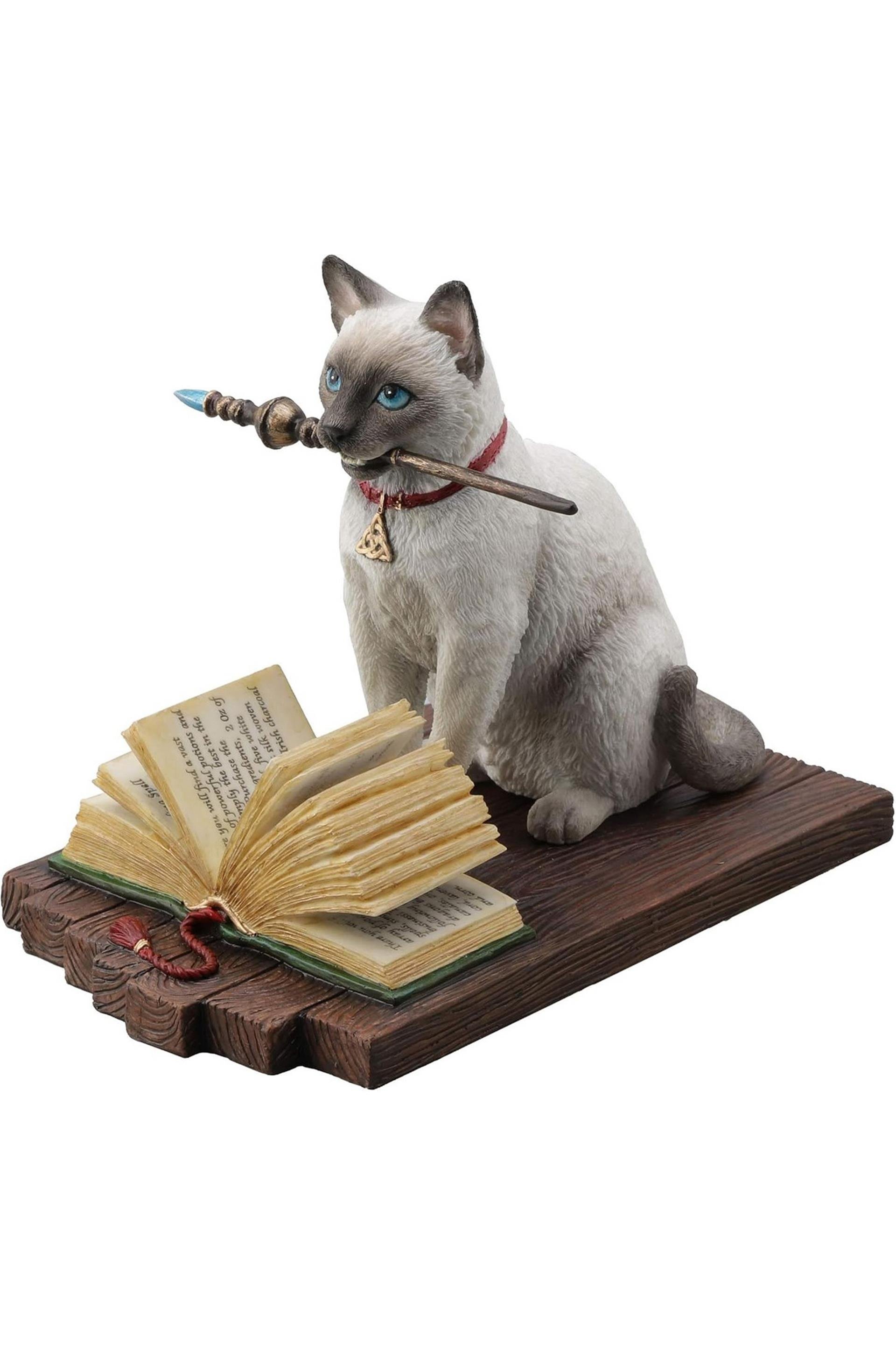 WISE SİHİRBAZ KEDİ