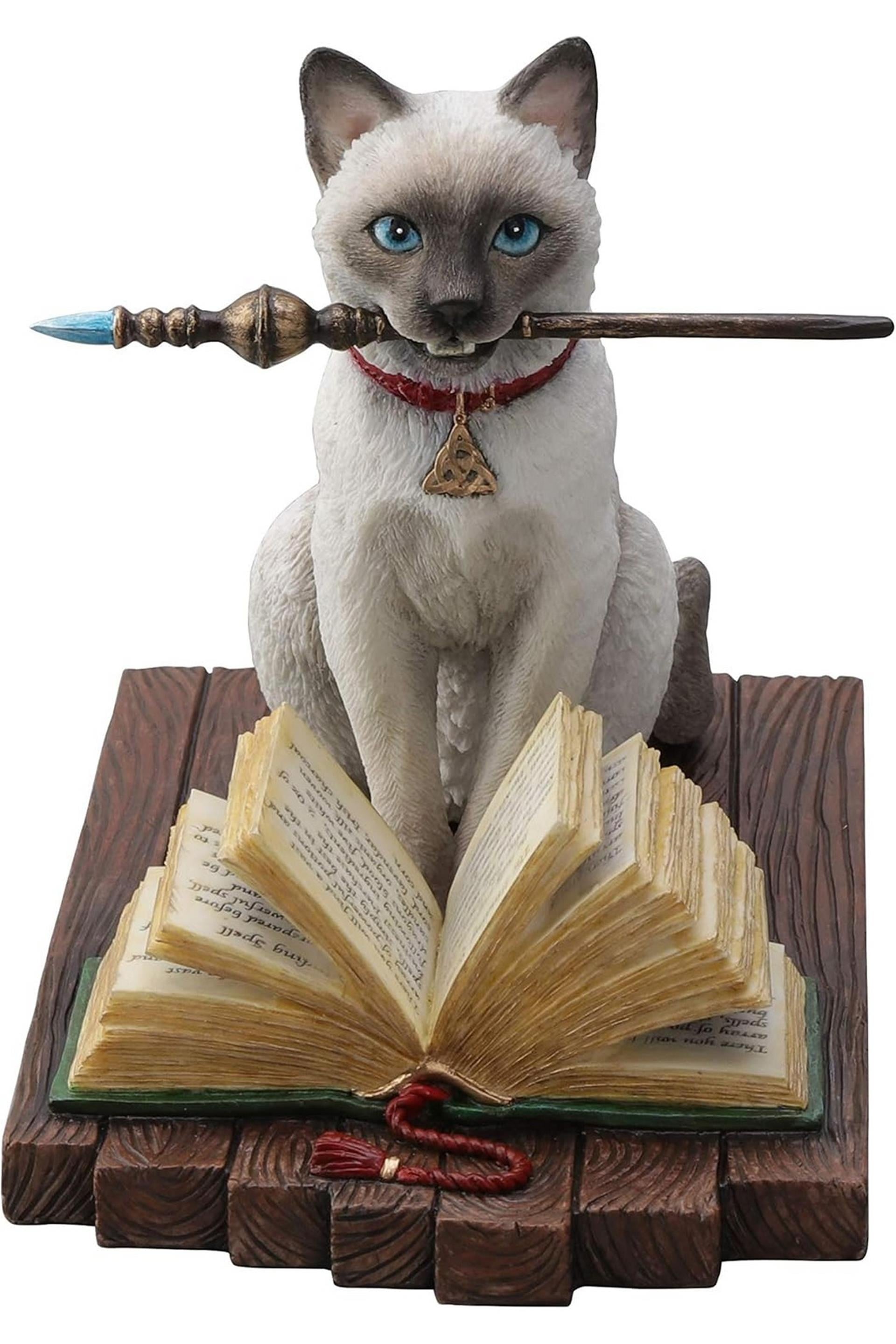 WISE SİHİRBAZ KEDİ