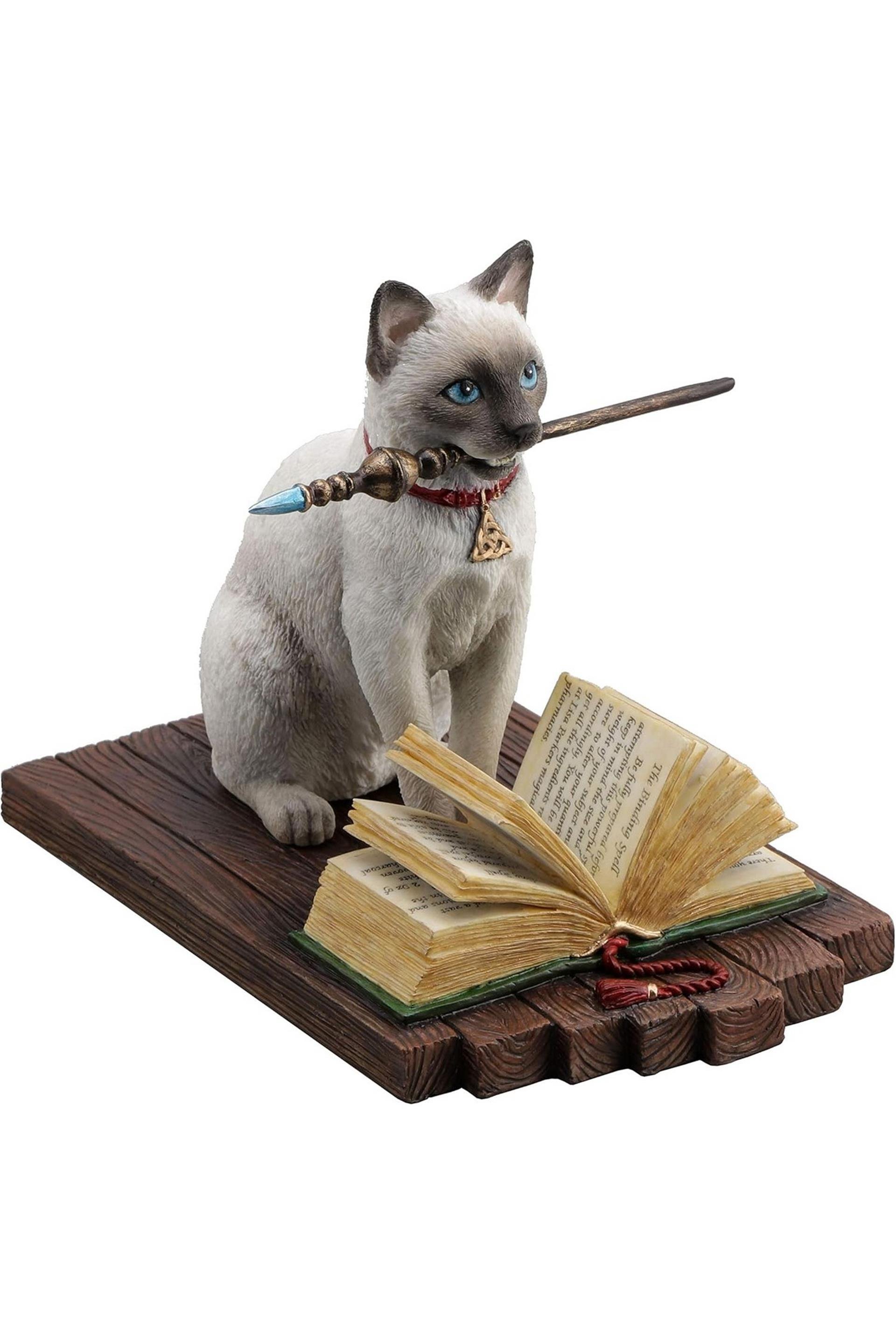 WISE SİHİRBAZ KEDİ
