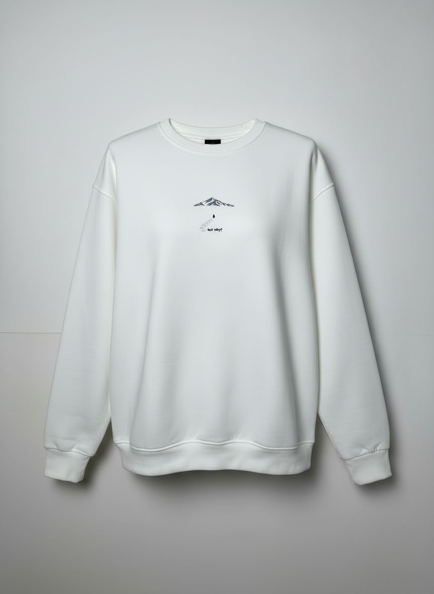 But Why Nakış Desenli Sweatshirt
