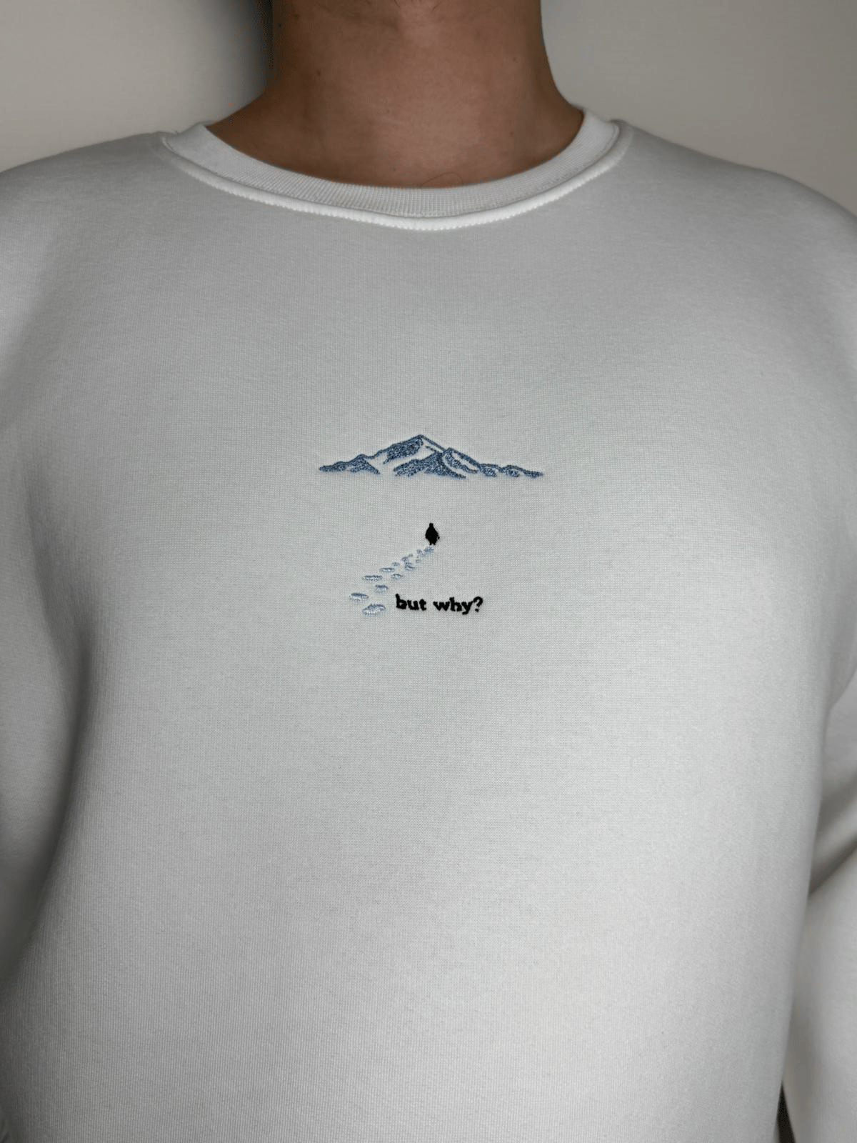 But Why Nakış Desenli Sweatshirt