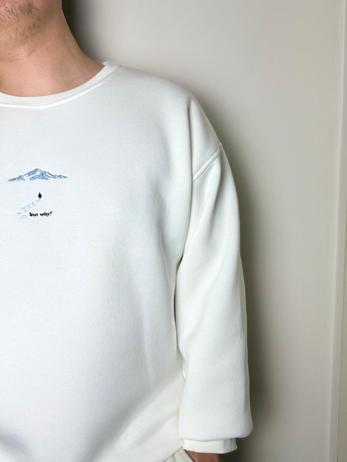 But Why Nakış Desenli Sweatshirt