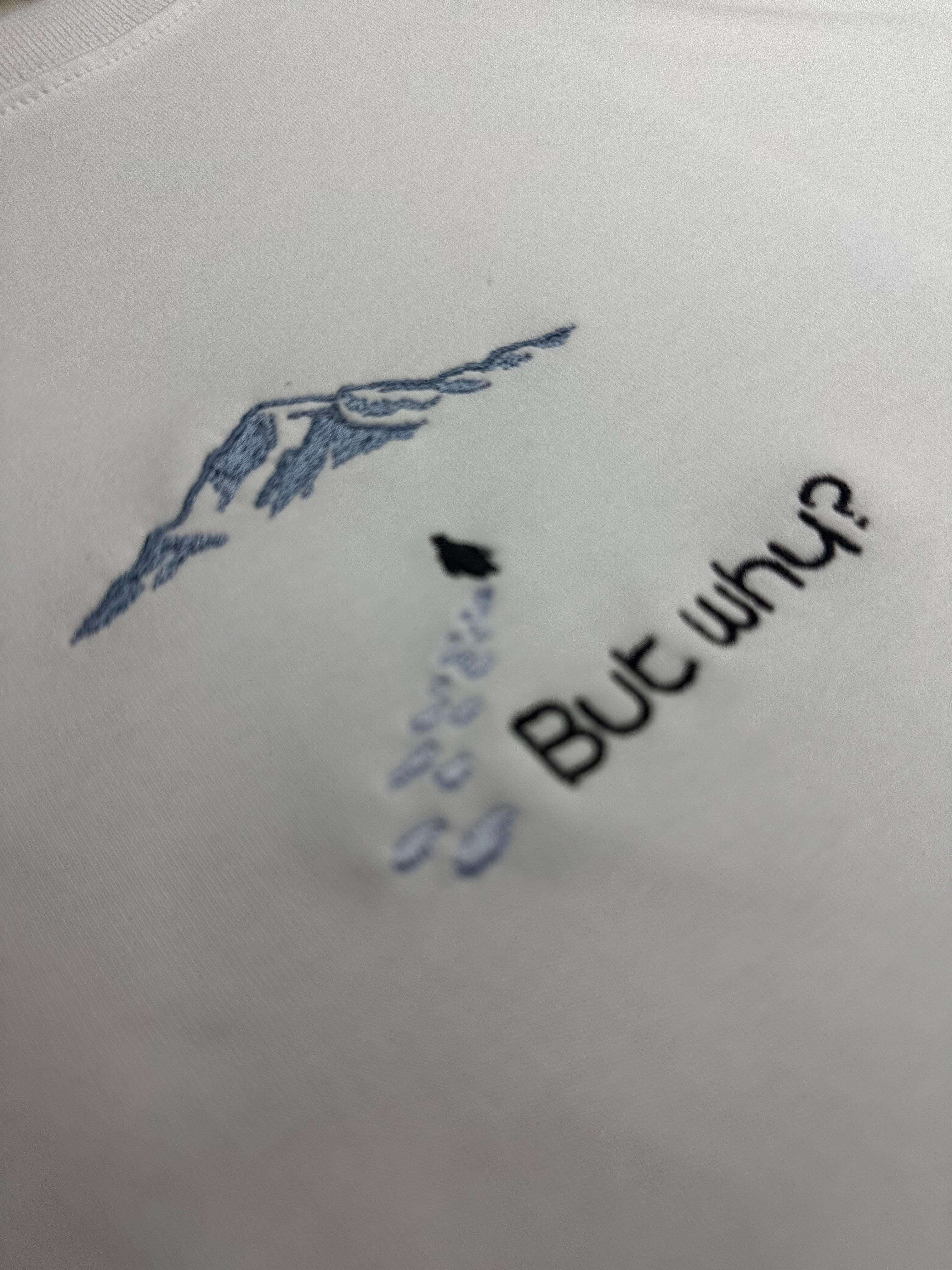 But Why Unisex Nakış Desenli T-Shirt