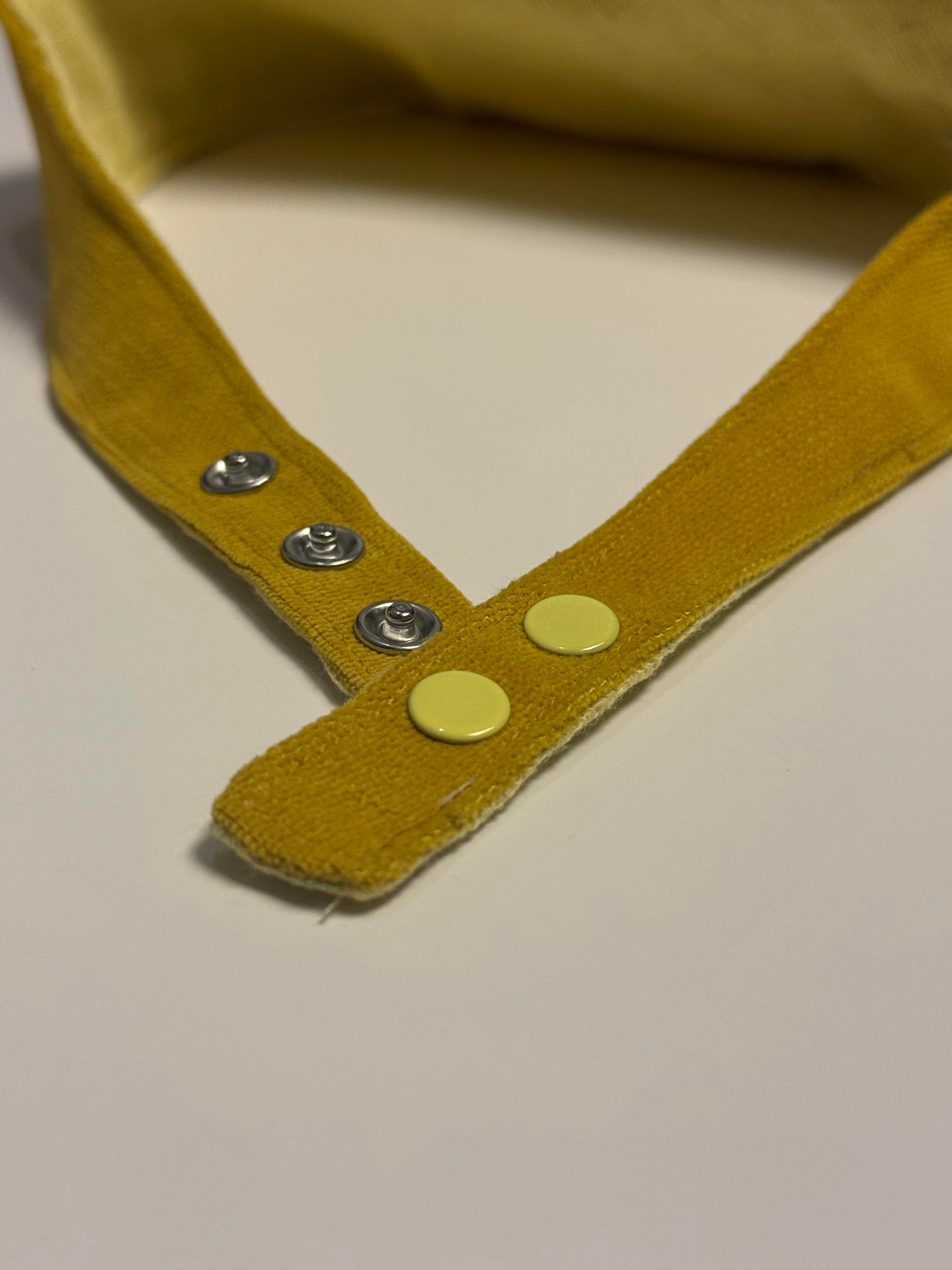 Glow Basic Köpek Bandanası