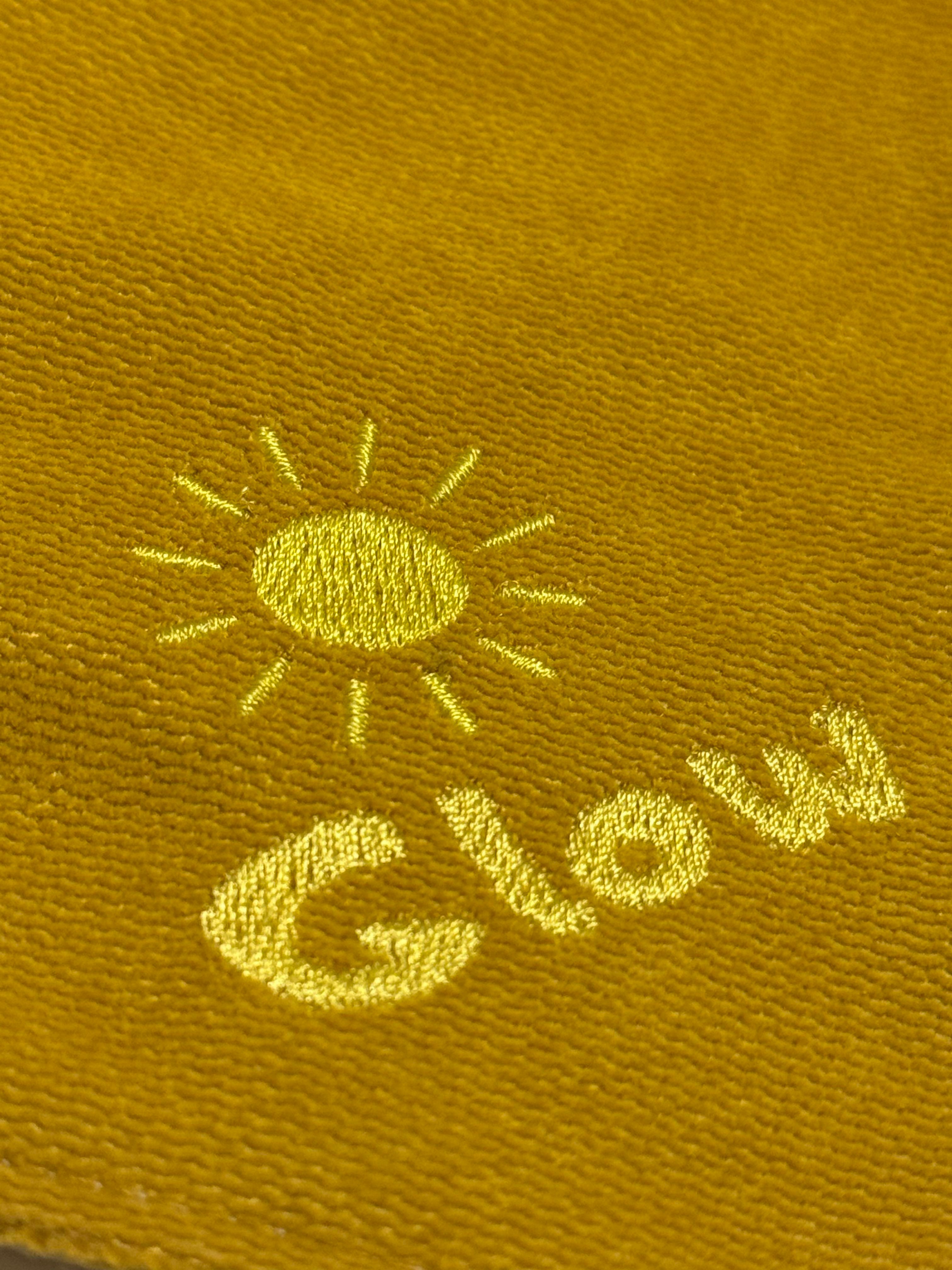 Glow Basic Köpek Bandanası
