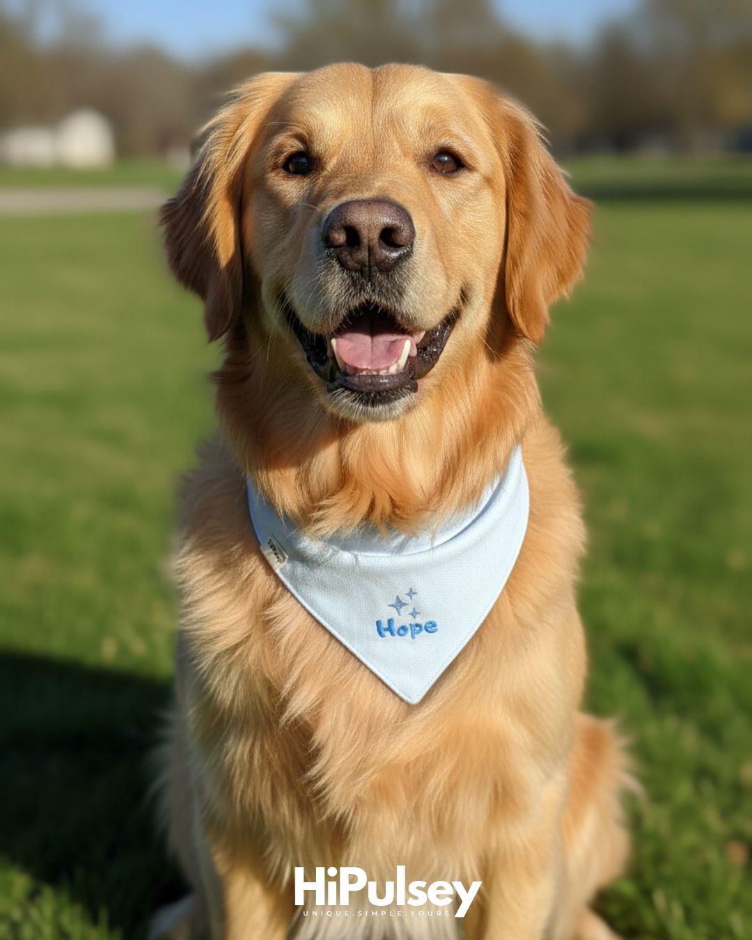 Hope Basic Köpek Bandanası