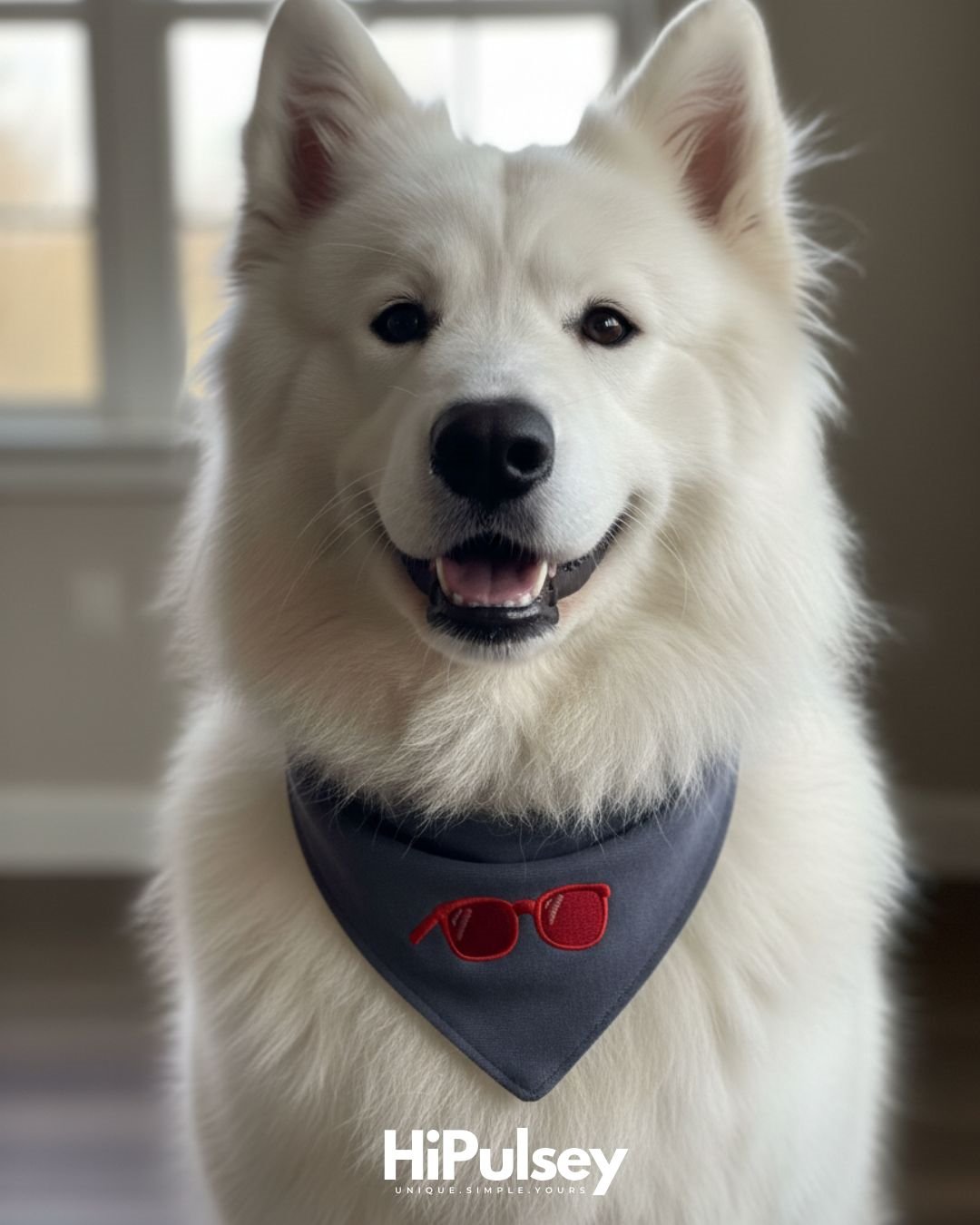 Quietly Bold Köpek Bandanası