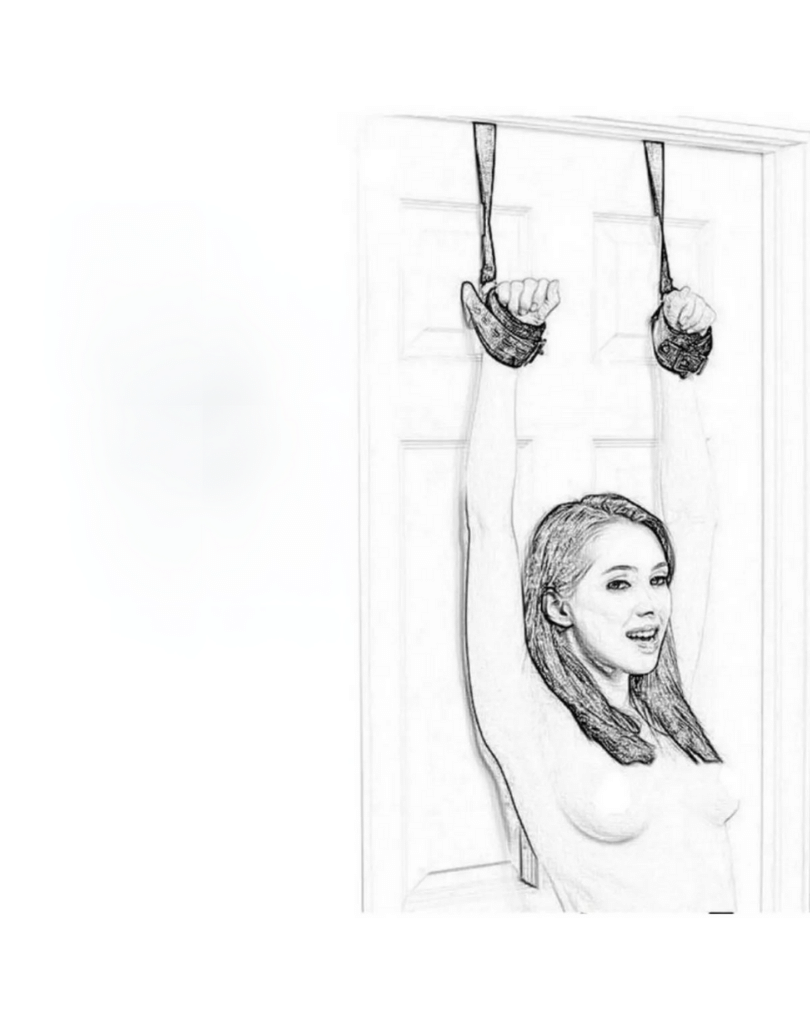 FANTEZİ SEKSİ KAPI ASKISI BC5423-1