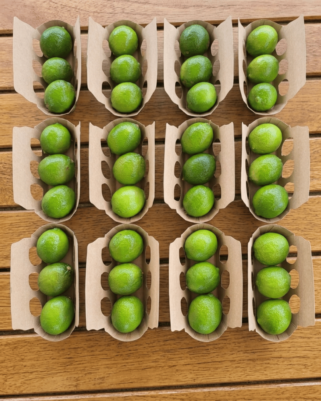 LIME 3'LÜ PAKET