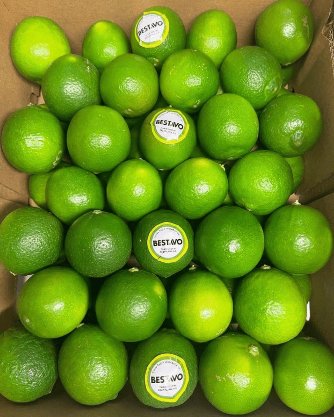 Lime