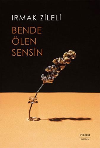 bende-olen-sensin-e7f69f.jpg